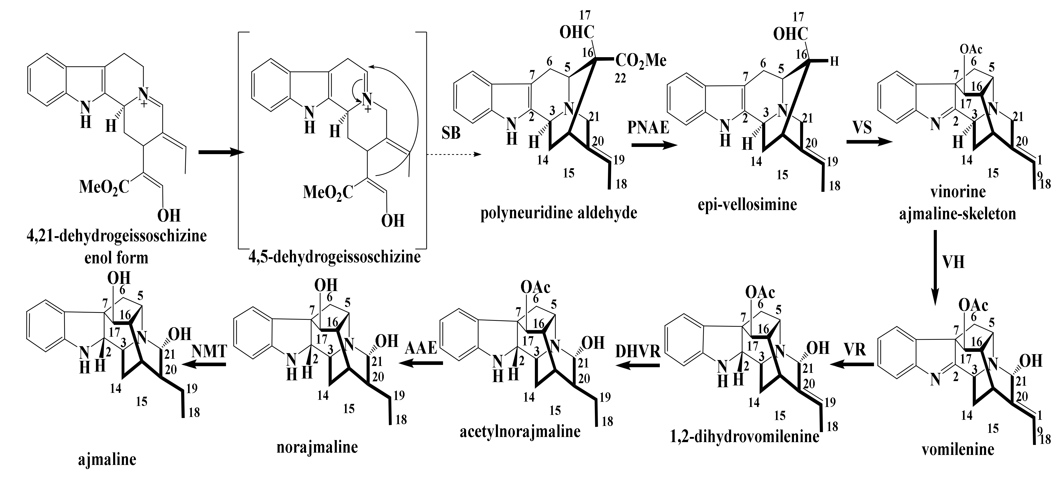 Molecules 26 00488 sch002