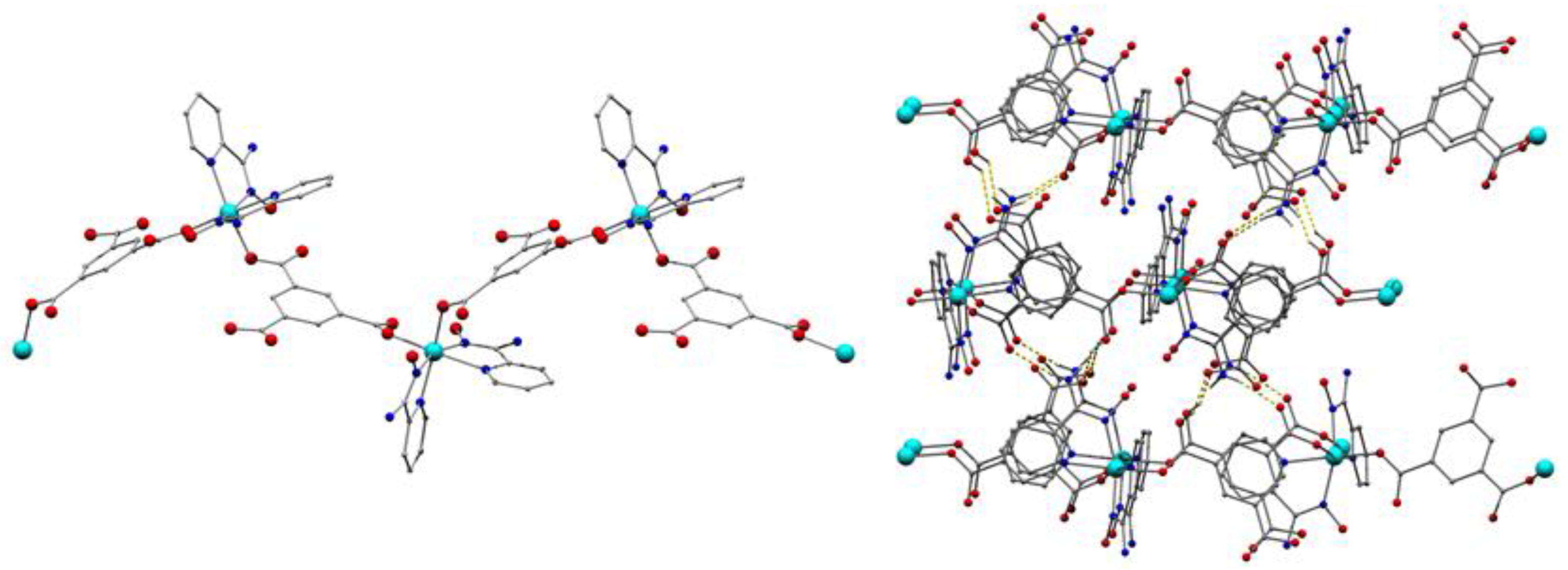 Molecules 26 00491 g002
