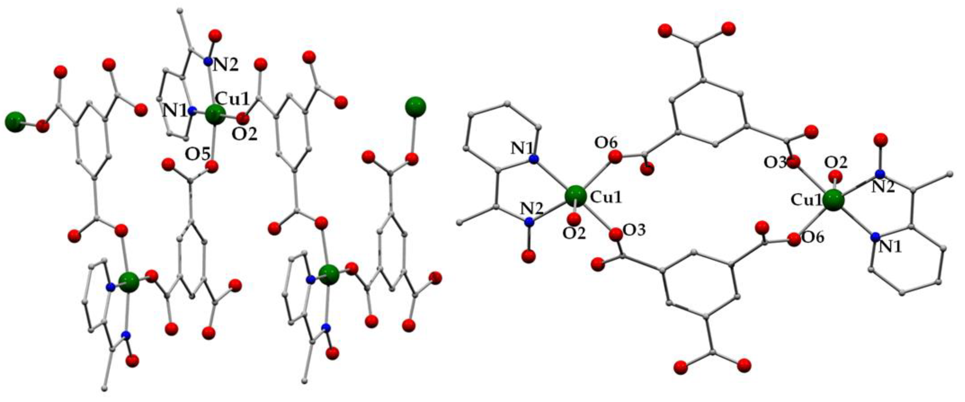 Molecules 26 00491 g005