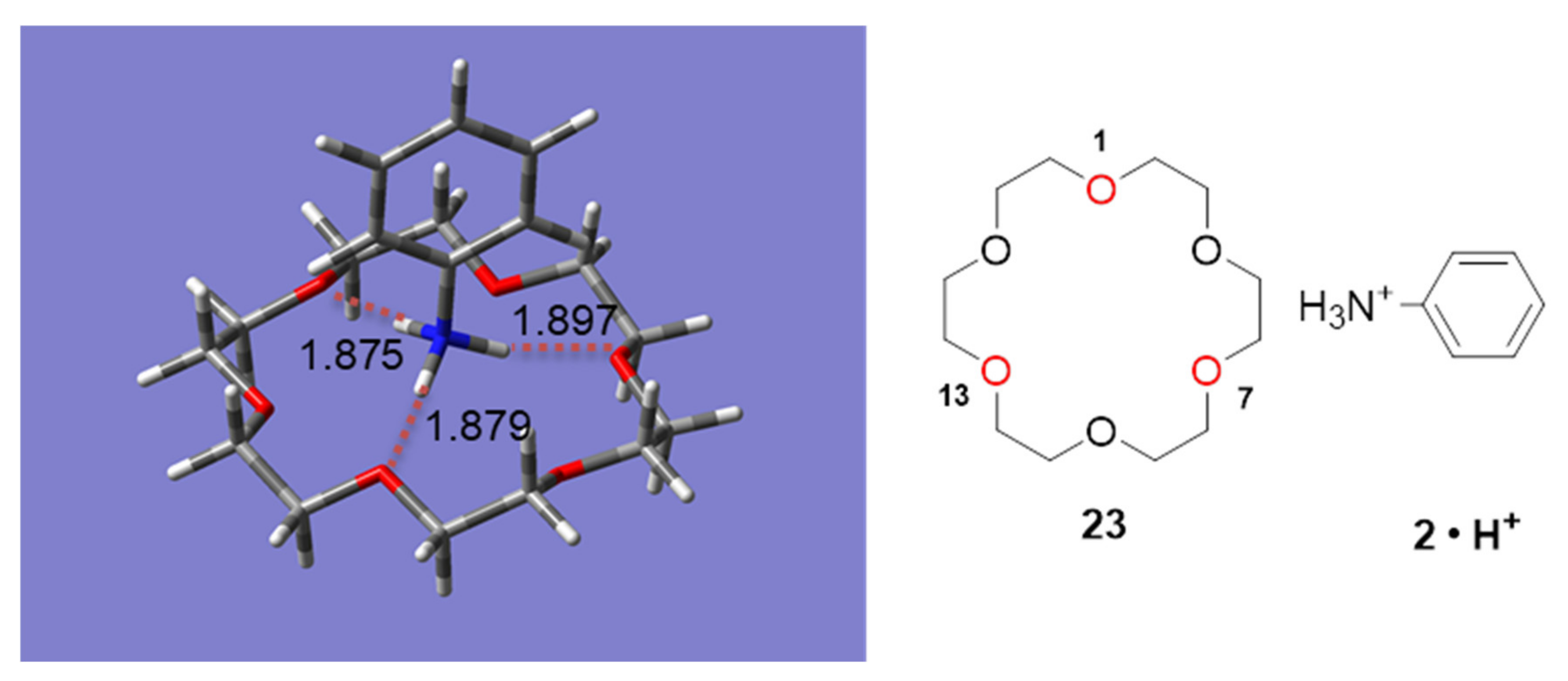 Molecules 26 00493 g010