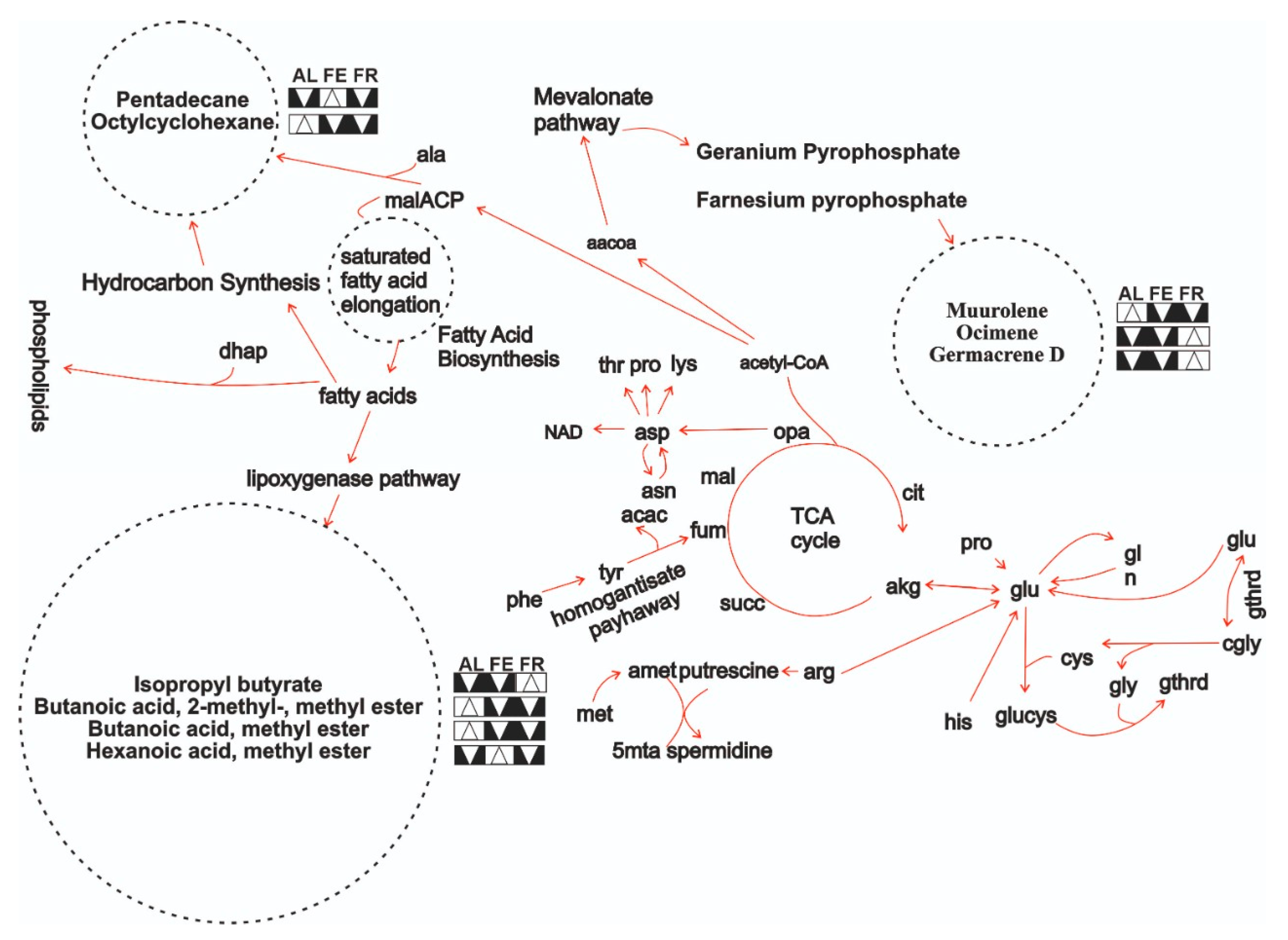 Molecules 26 00504 g003