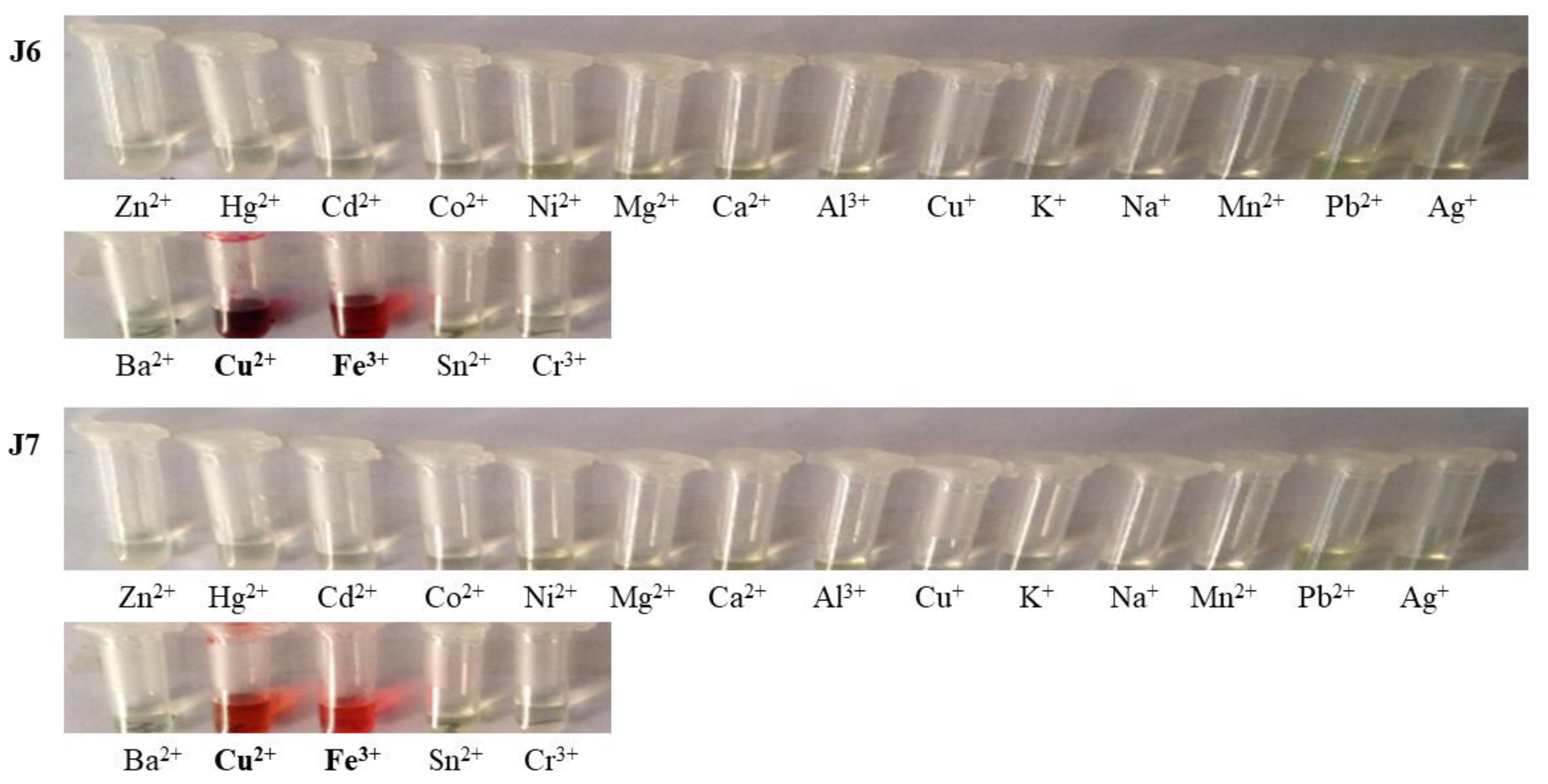 Molecules 26 00512 g004