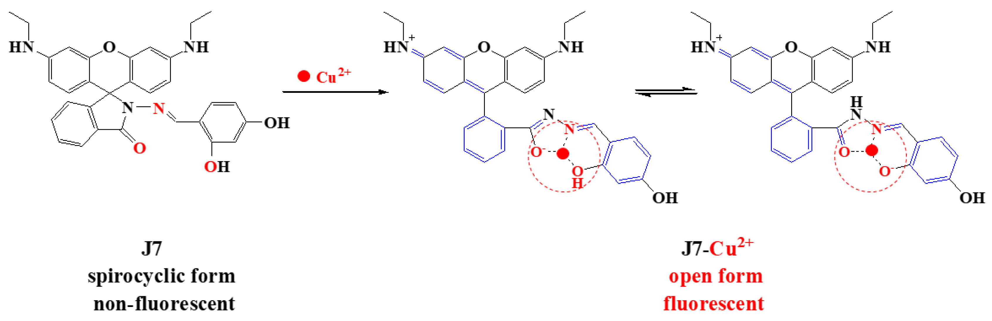 Molecules 26 00512 g009