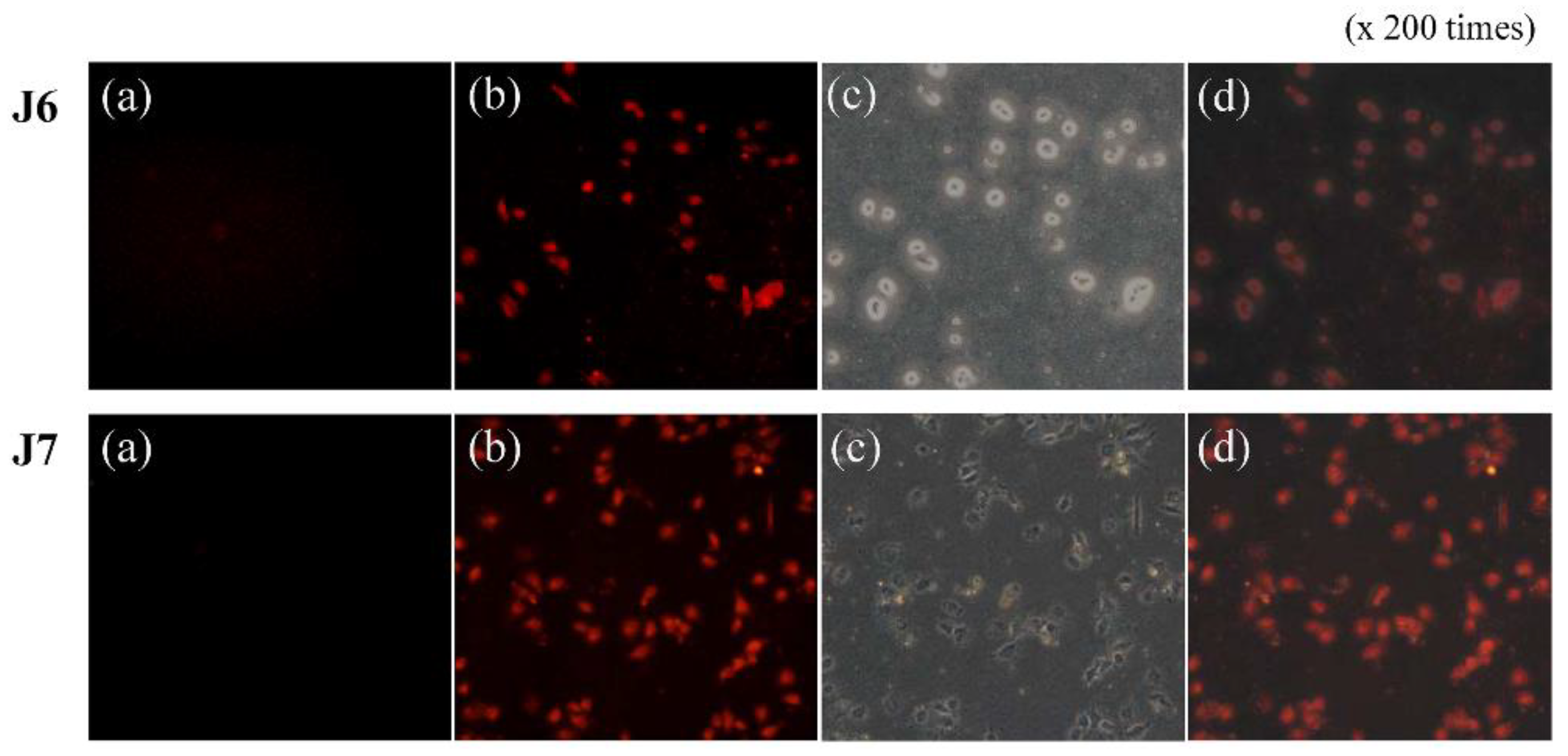 Molecules 26 00512 g010