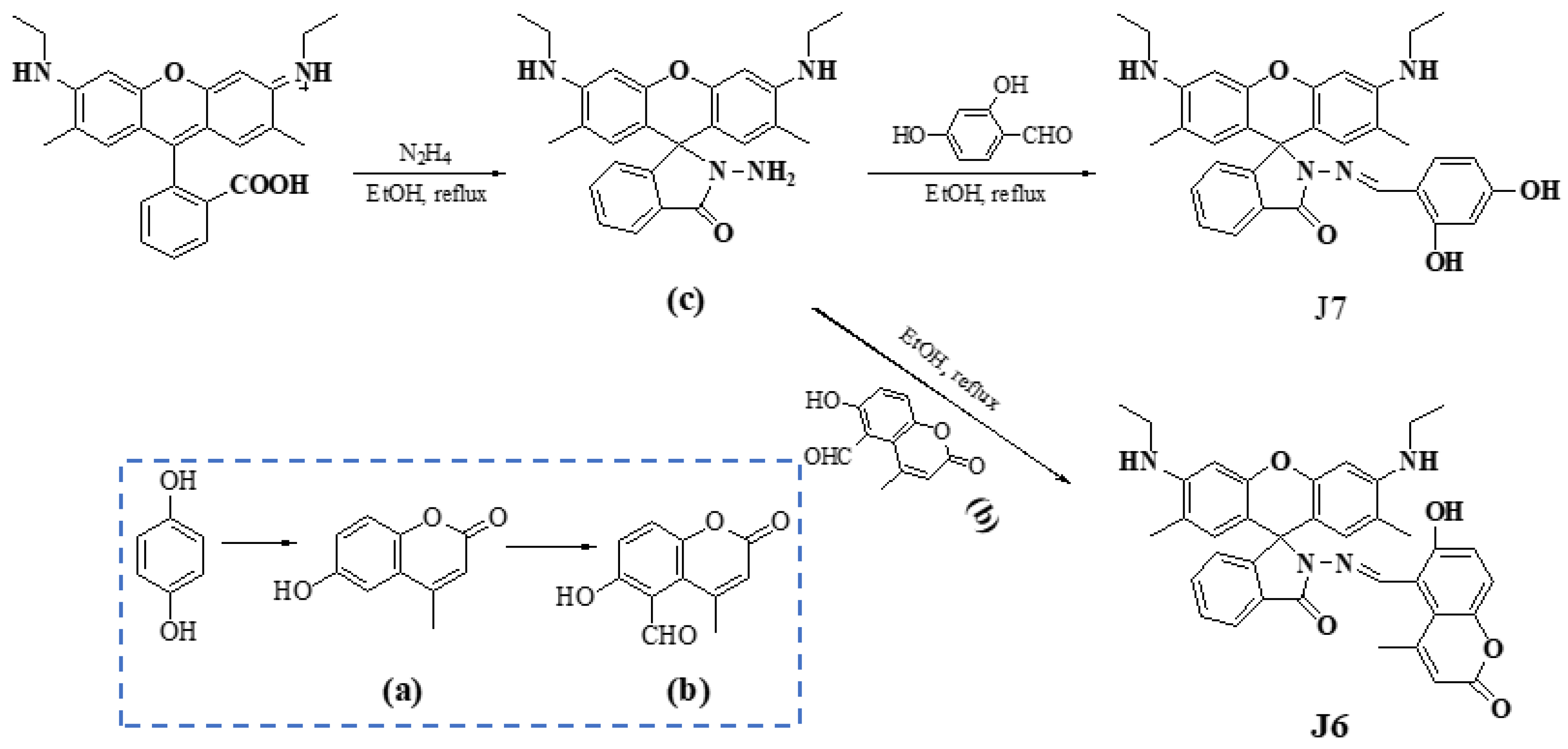 Molecules 26 00512 sch001
