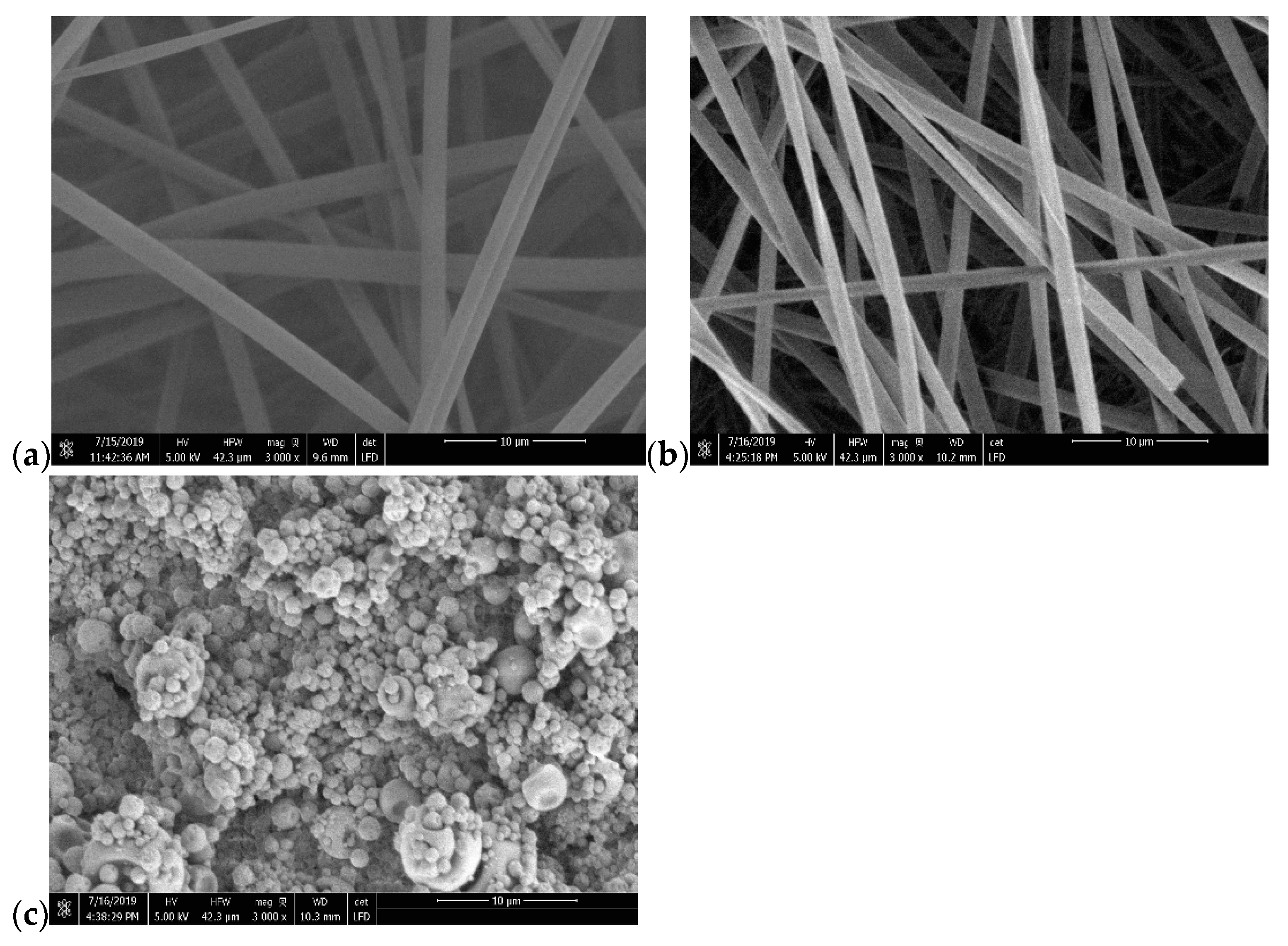 Molecules 26 00518 g001
