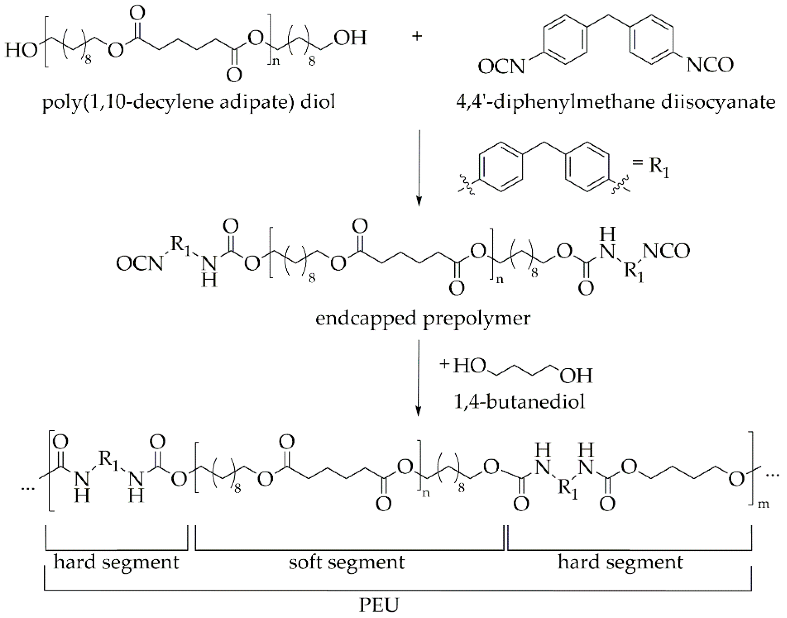Molecules 26 00522 g003 Molecules 26 00522 g003