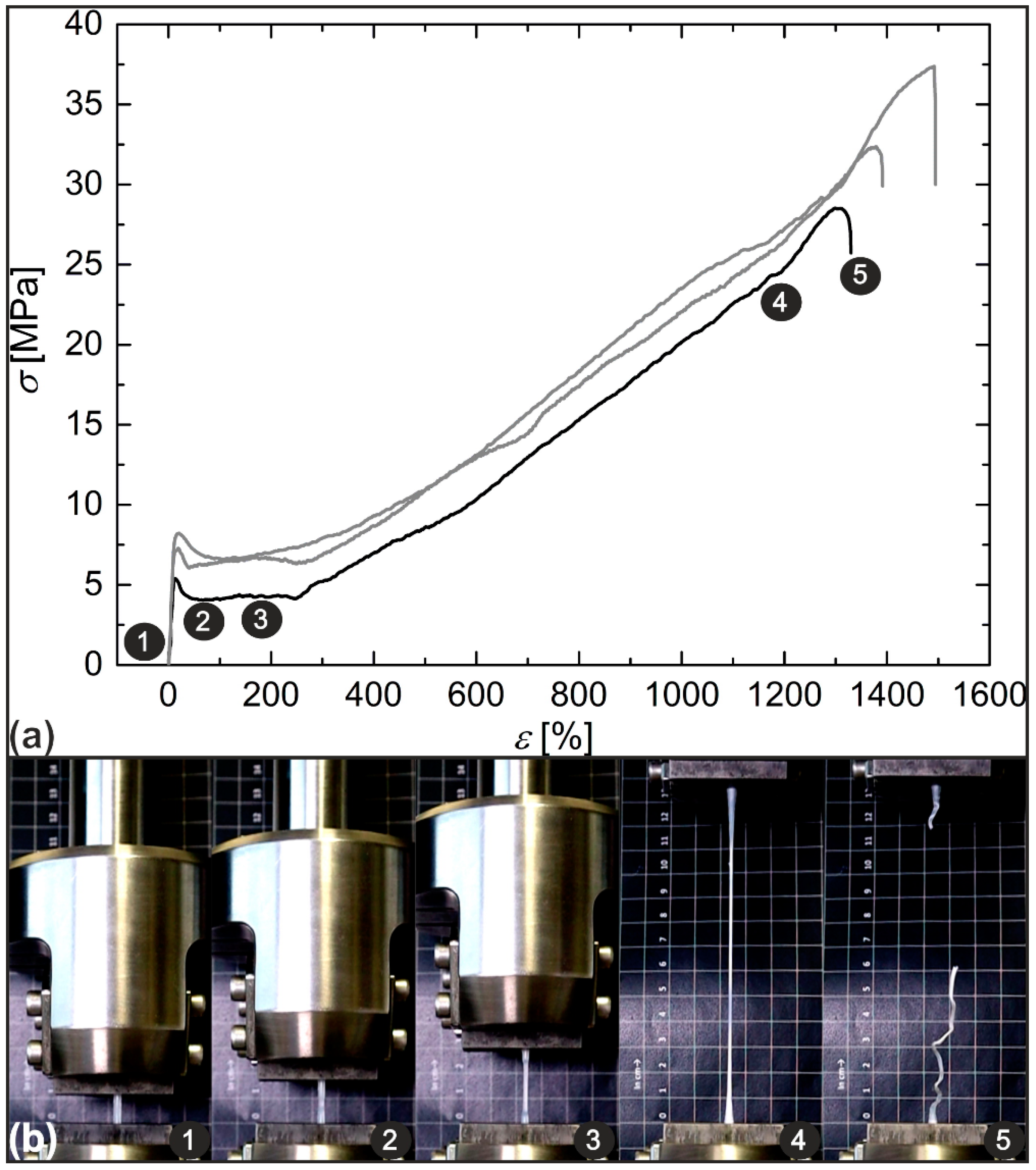 Molecules 26 00522 g004 Molecules 26 00522 g004