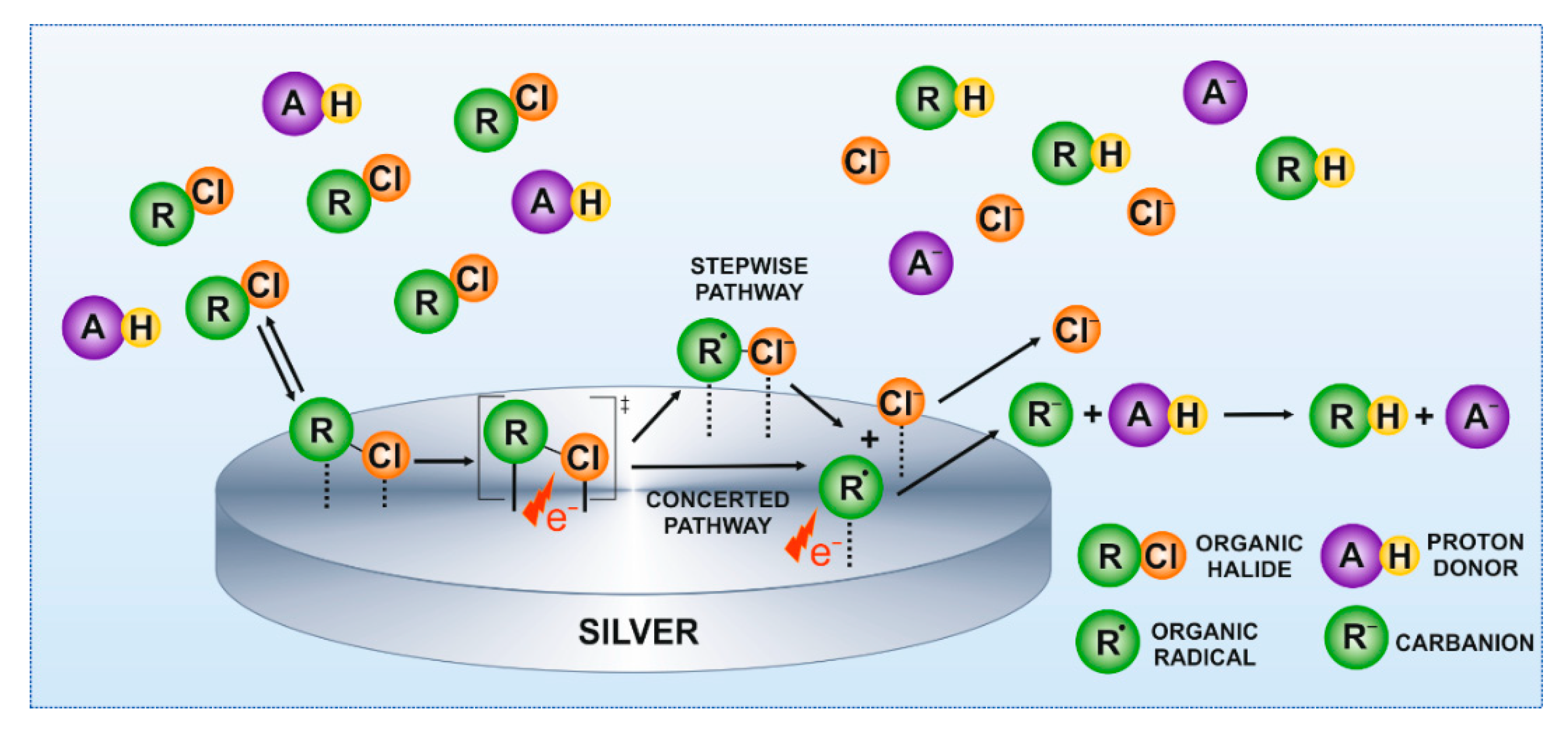 Molecules 26 00525 g003