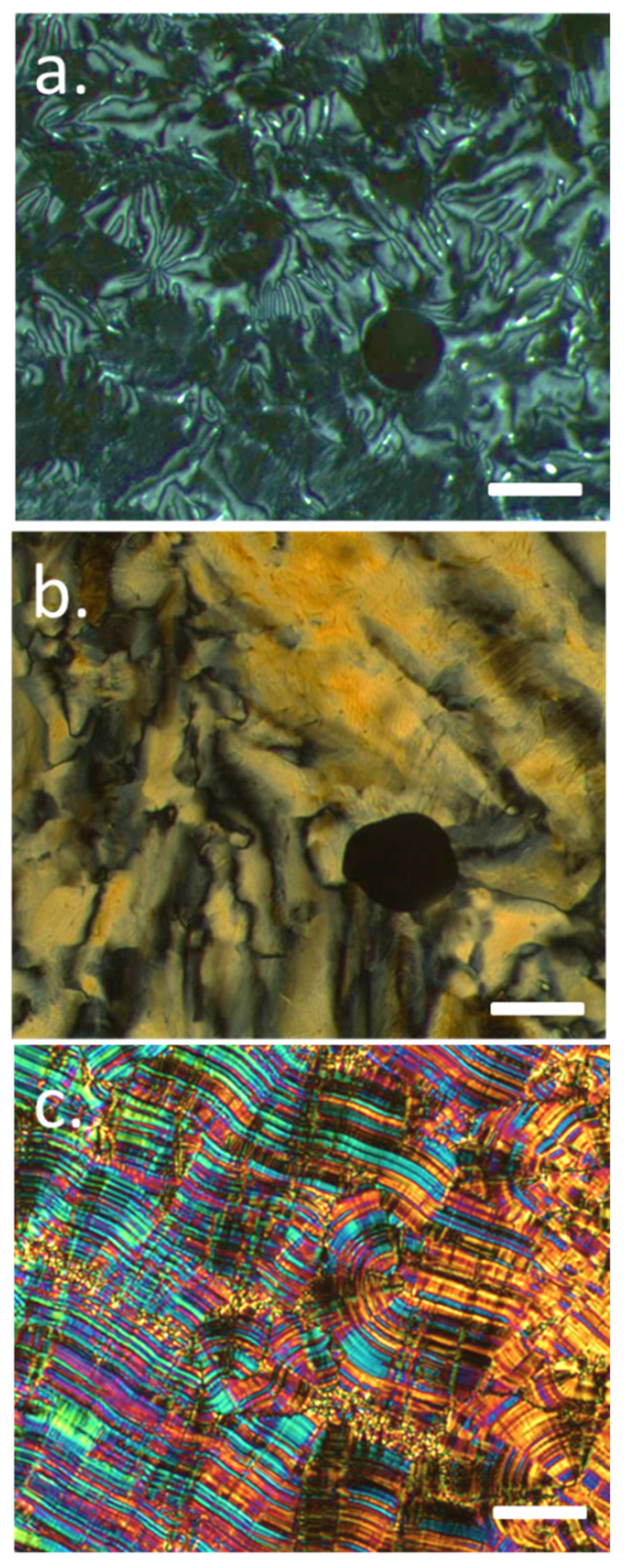 Molecules 26 00532 g002