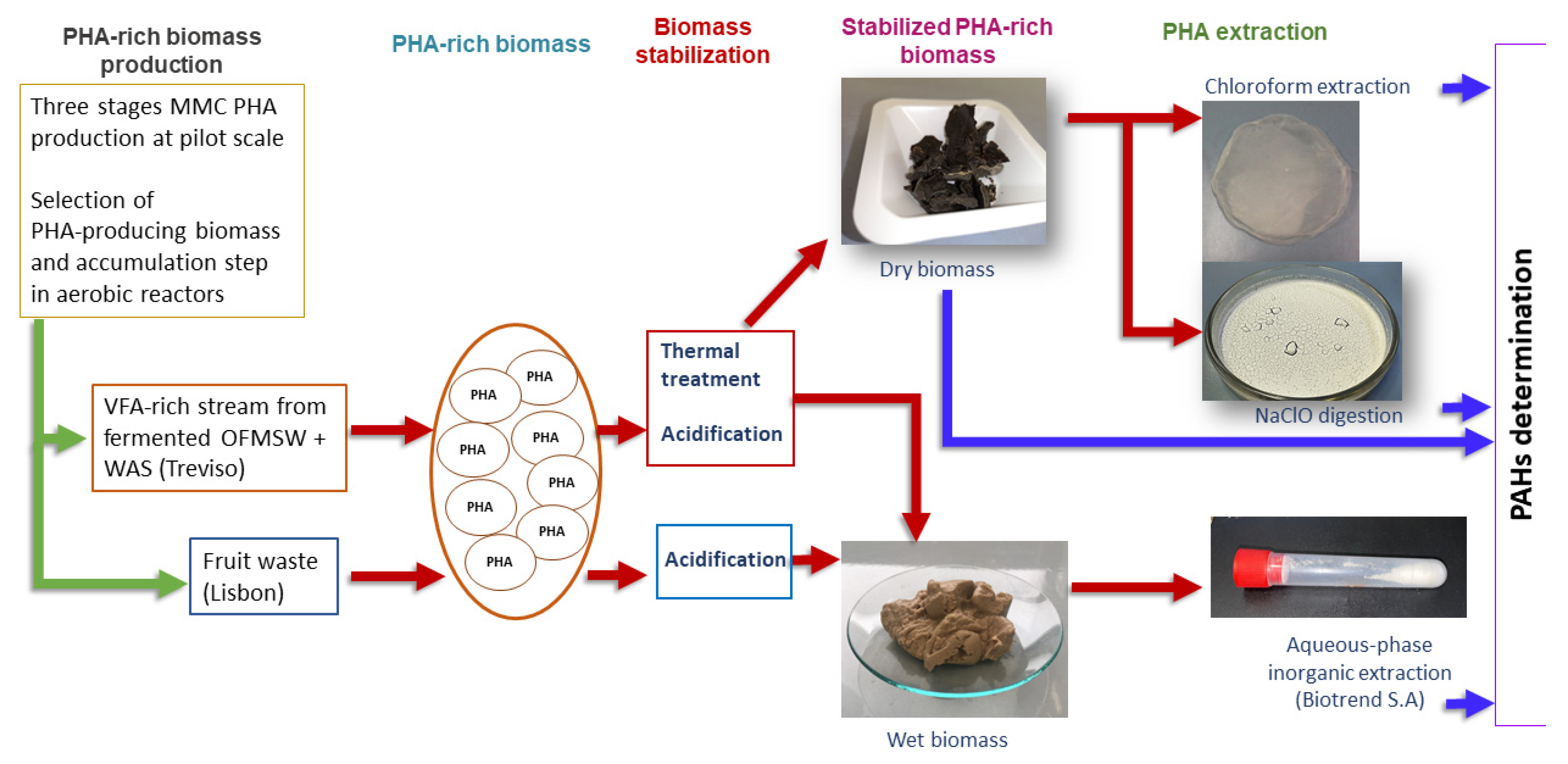 Molecules 26 00539 g003 Molecules 26 00539 g003