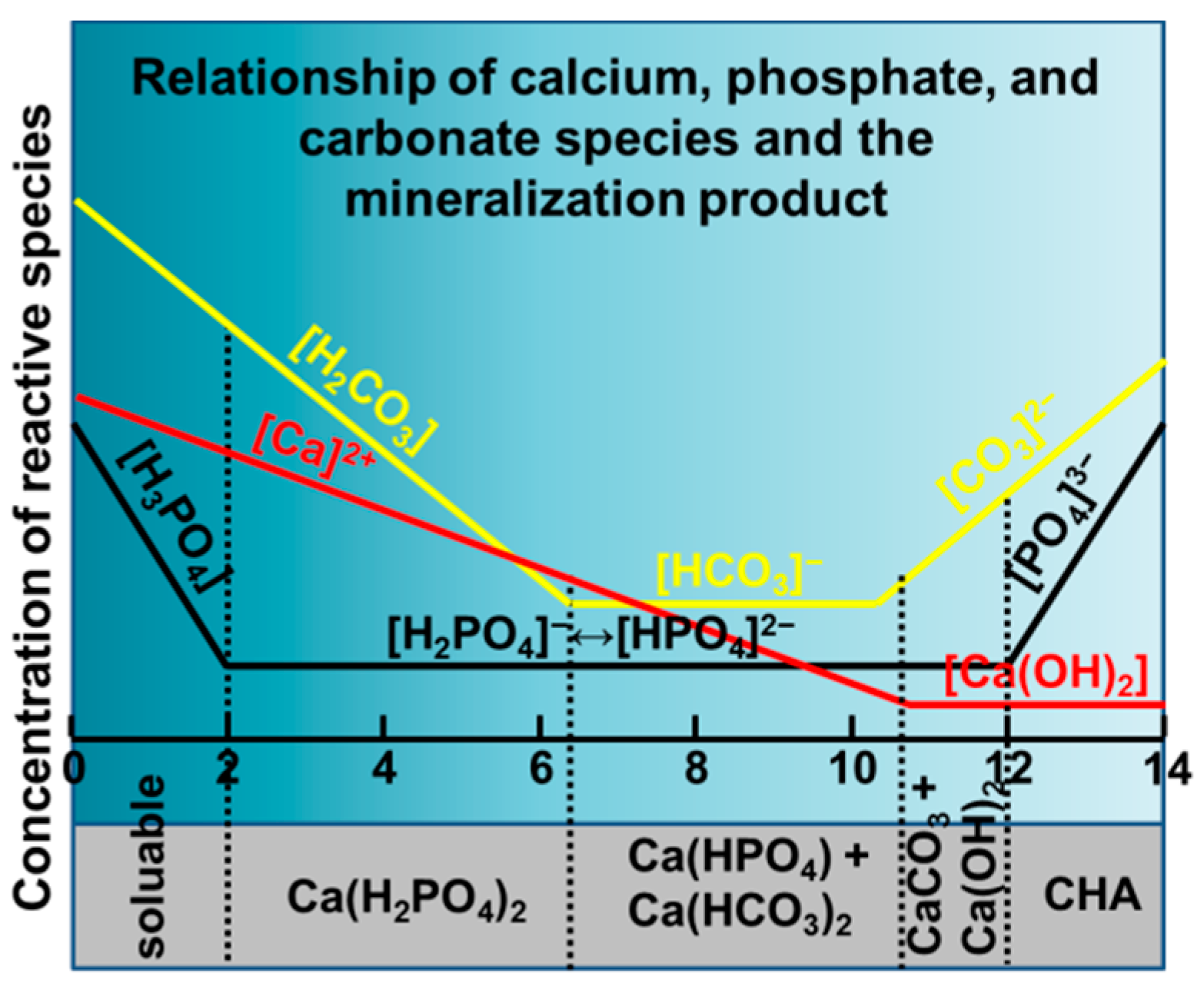 Molecules 26 00540 g001