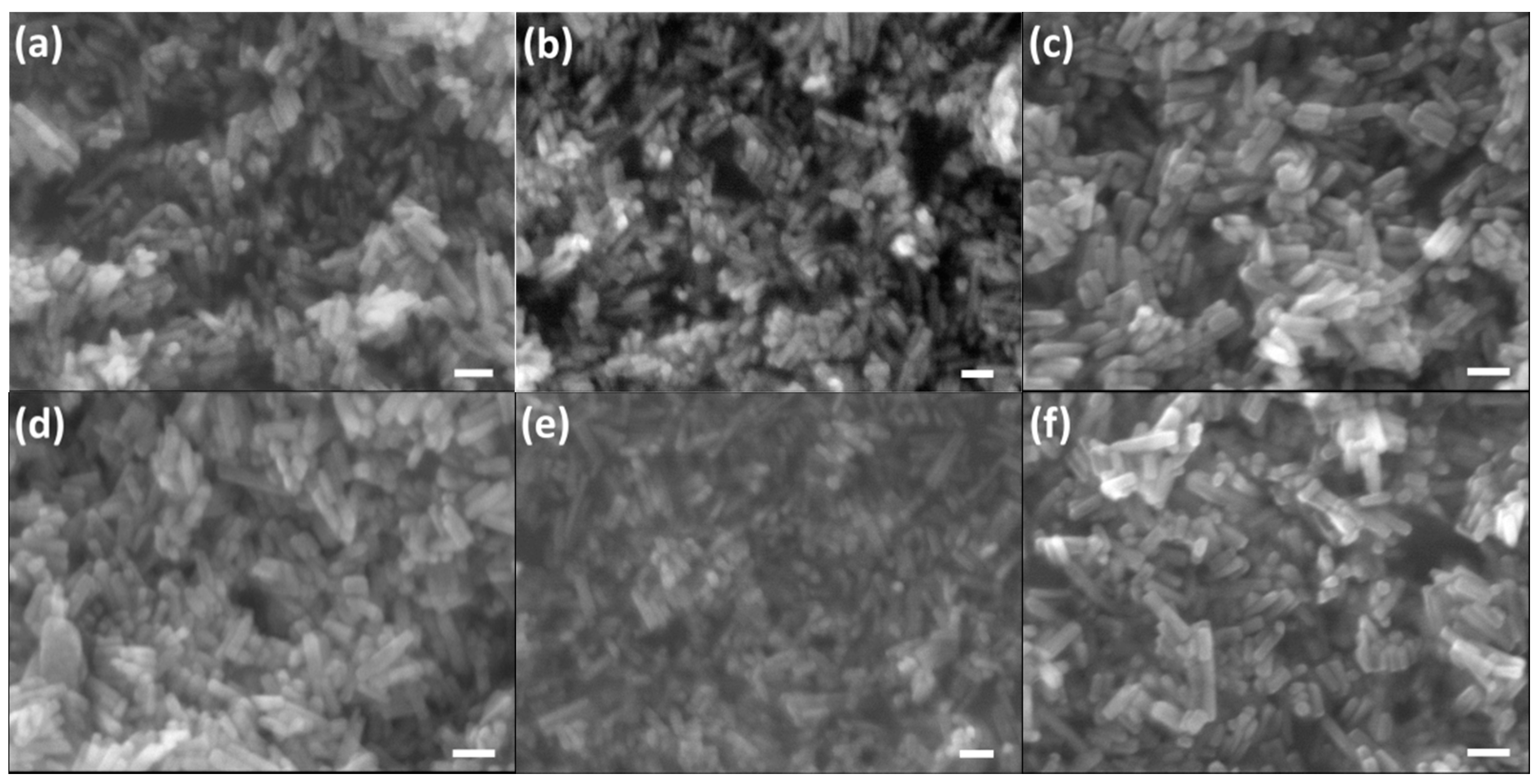 Molecules 26 00540 g005a