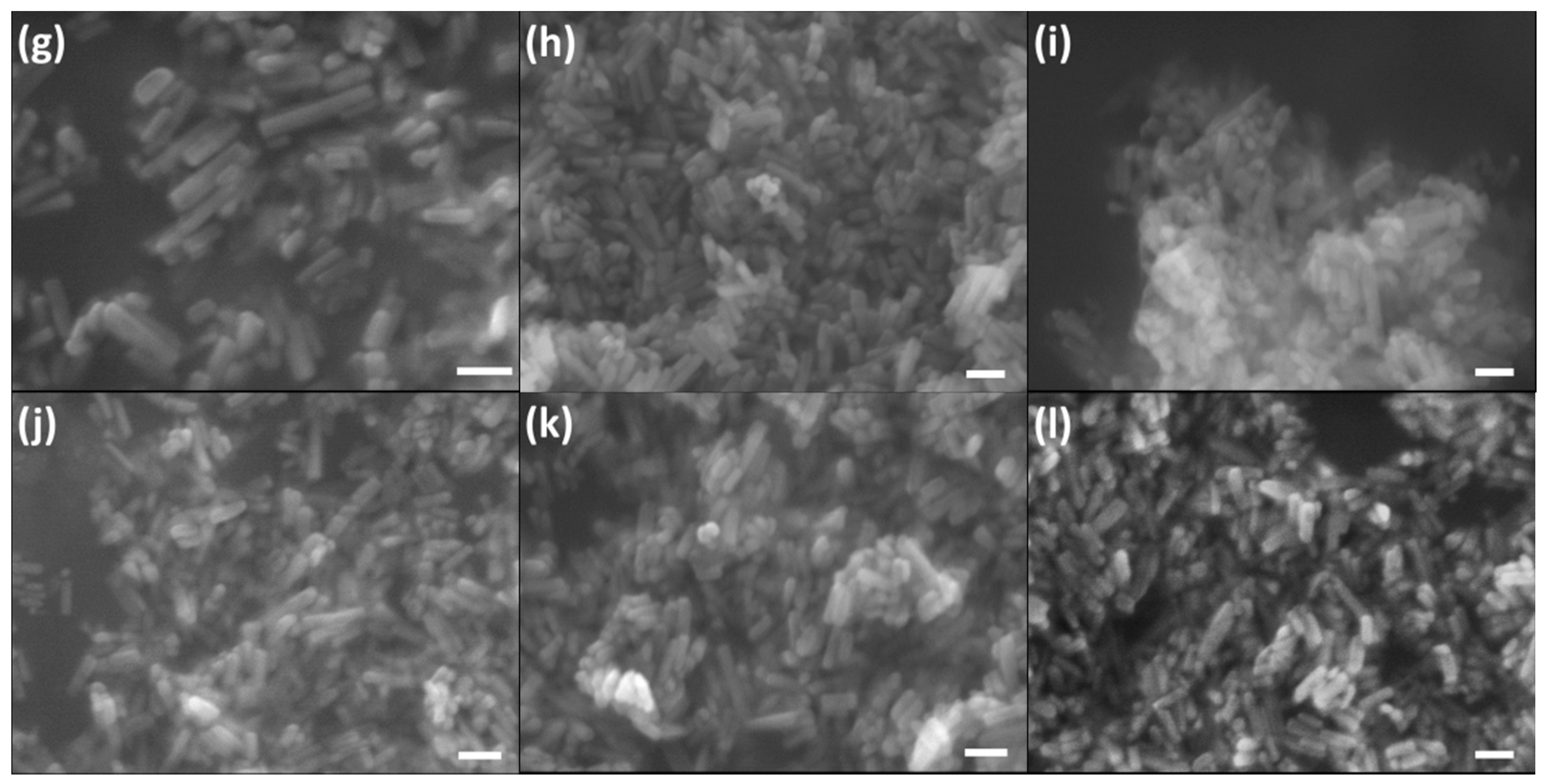 Molecules 26 00540 g005b