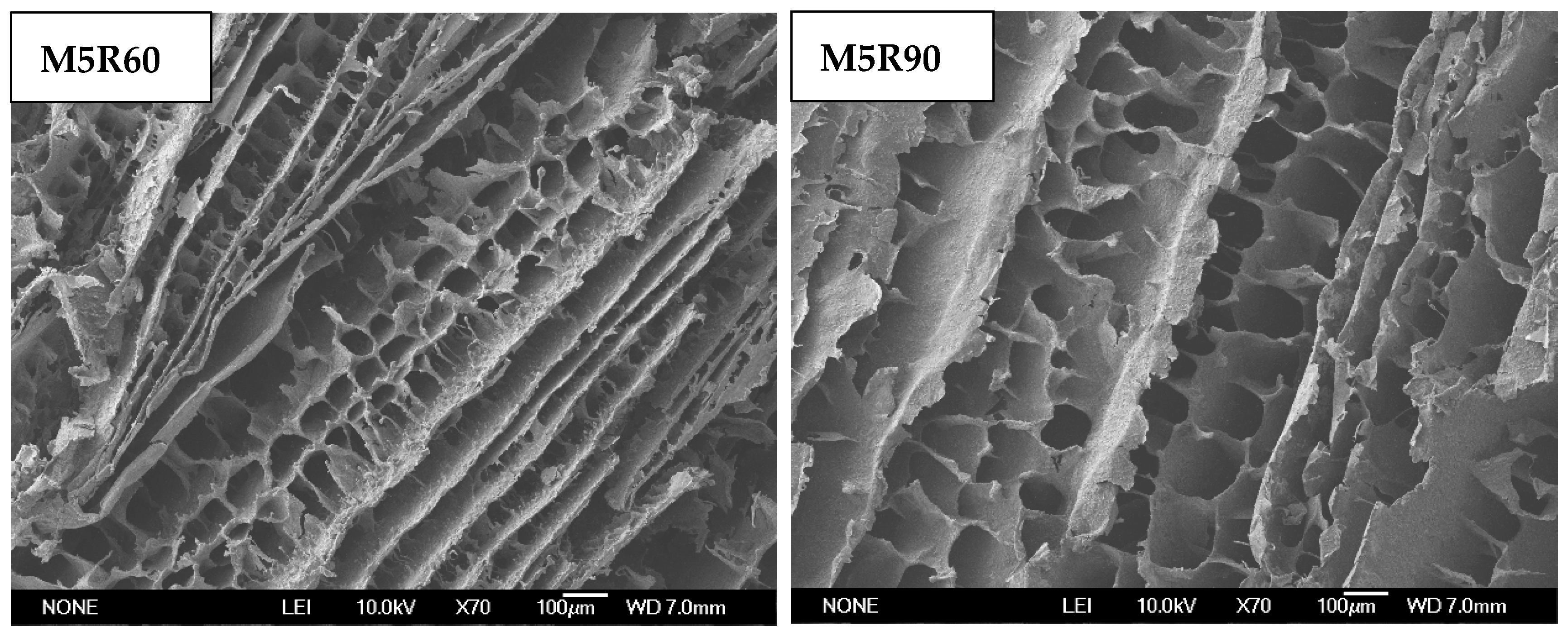 Molecules 26 00541 g005b