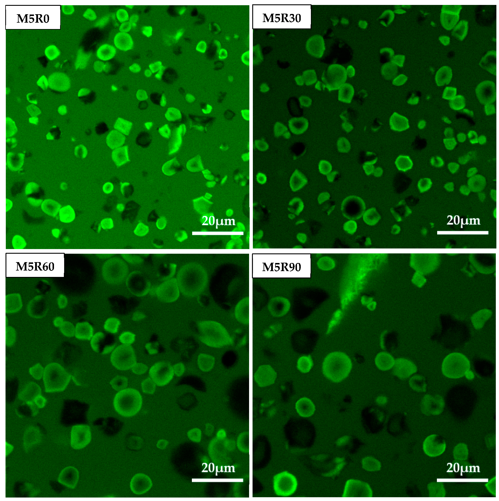 Molecules 26 00541 g006b