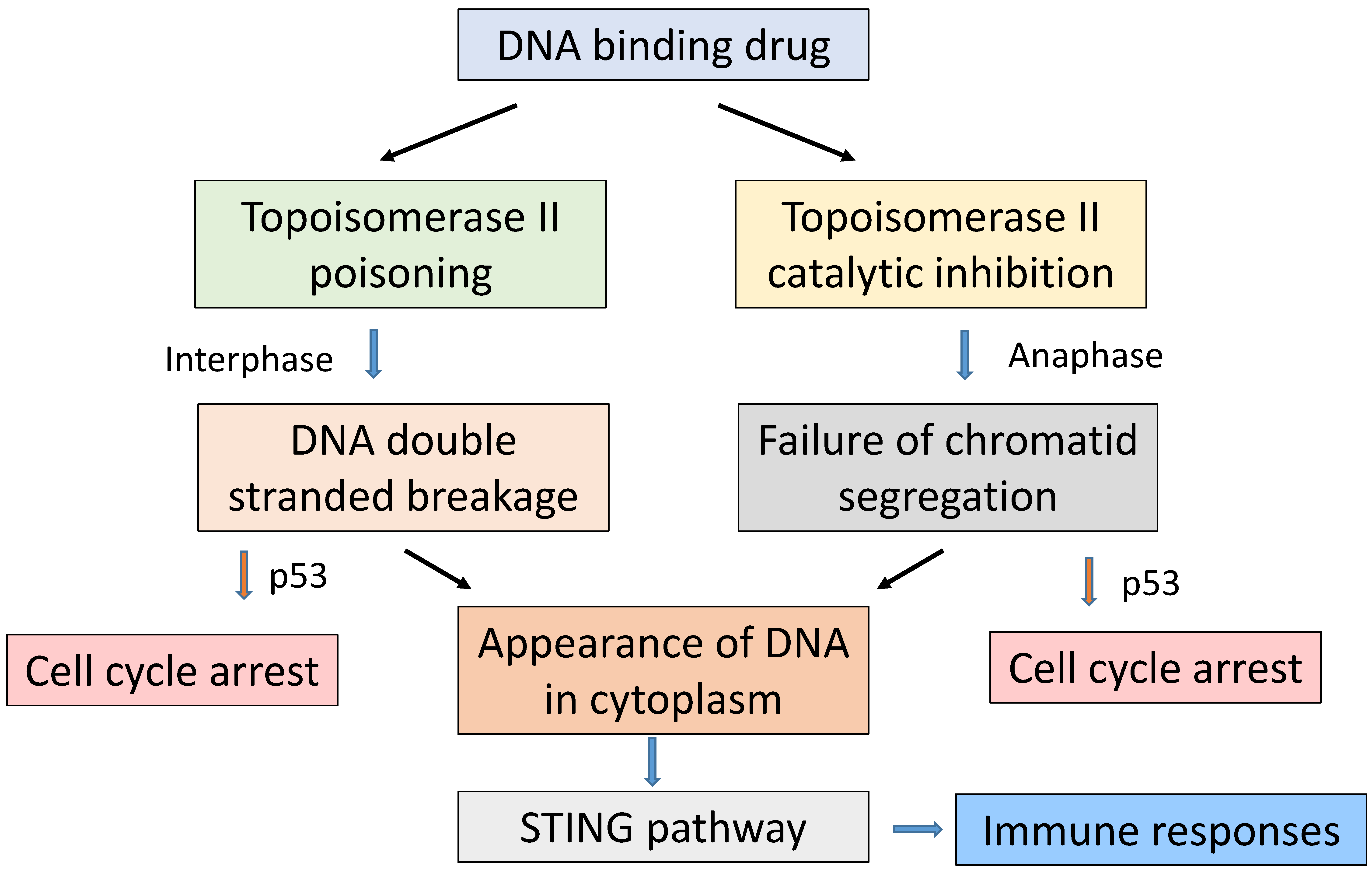 Molecules 26 00552 g002