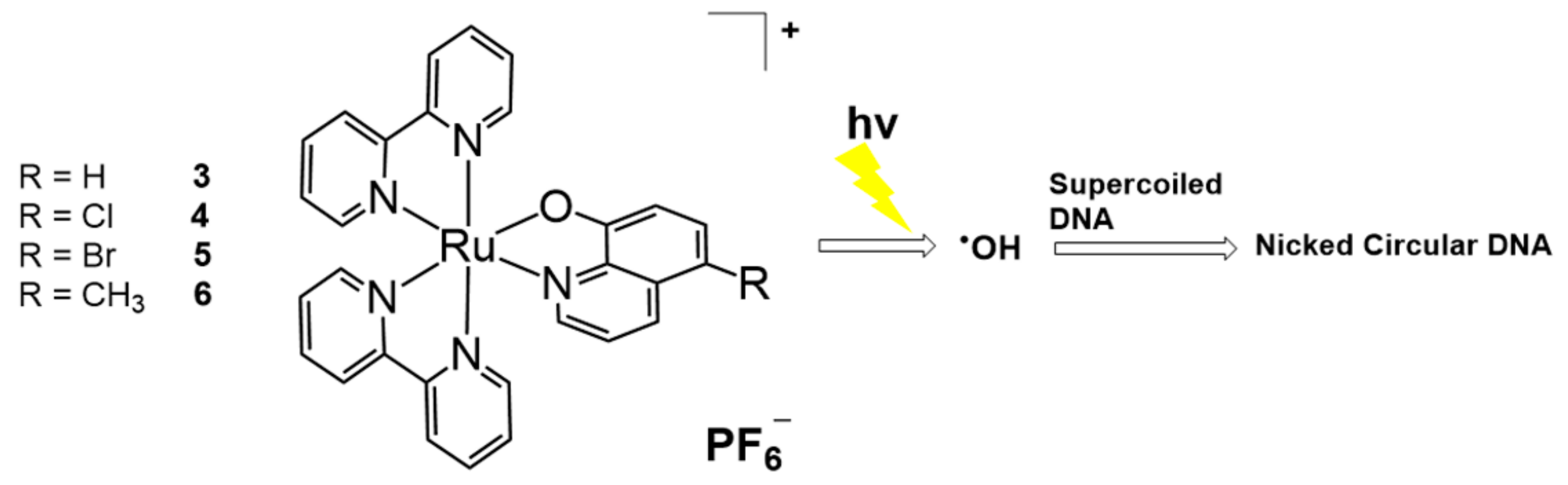 Molecules 26 00556 g002 Molecules 26 00556 g002