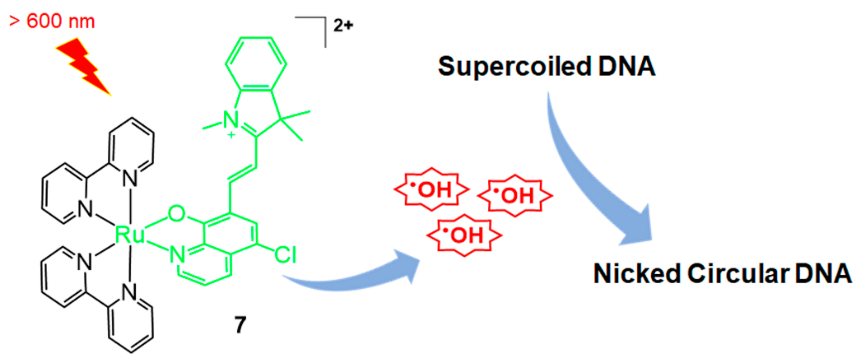 Molecules 26 00556 g003 Molecules 26 00556 g003
