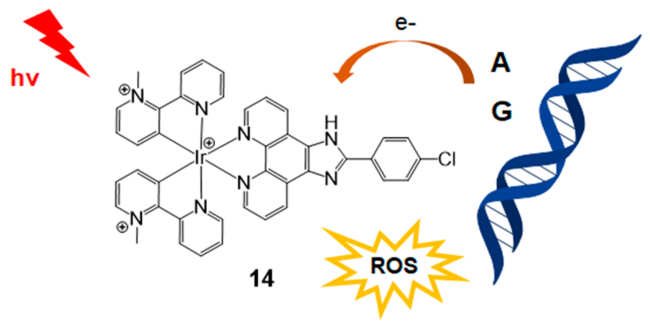 Molecules 26 00556 g006 Molecules 26 00556 g006