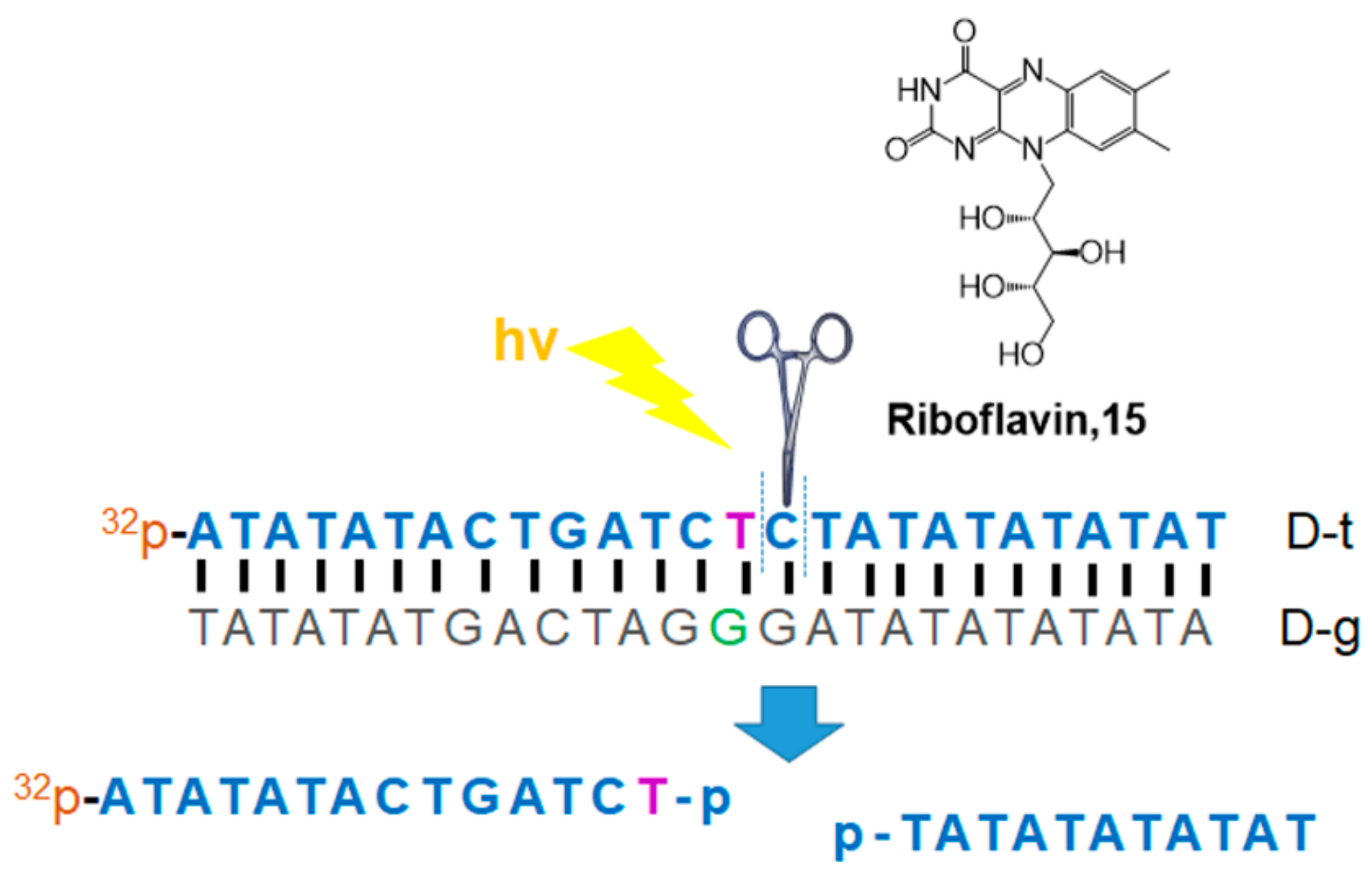 Molecules 26 00556 g007 Molecules 26 00556 g007