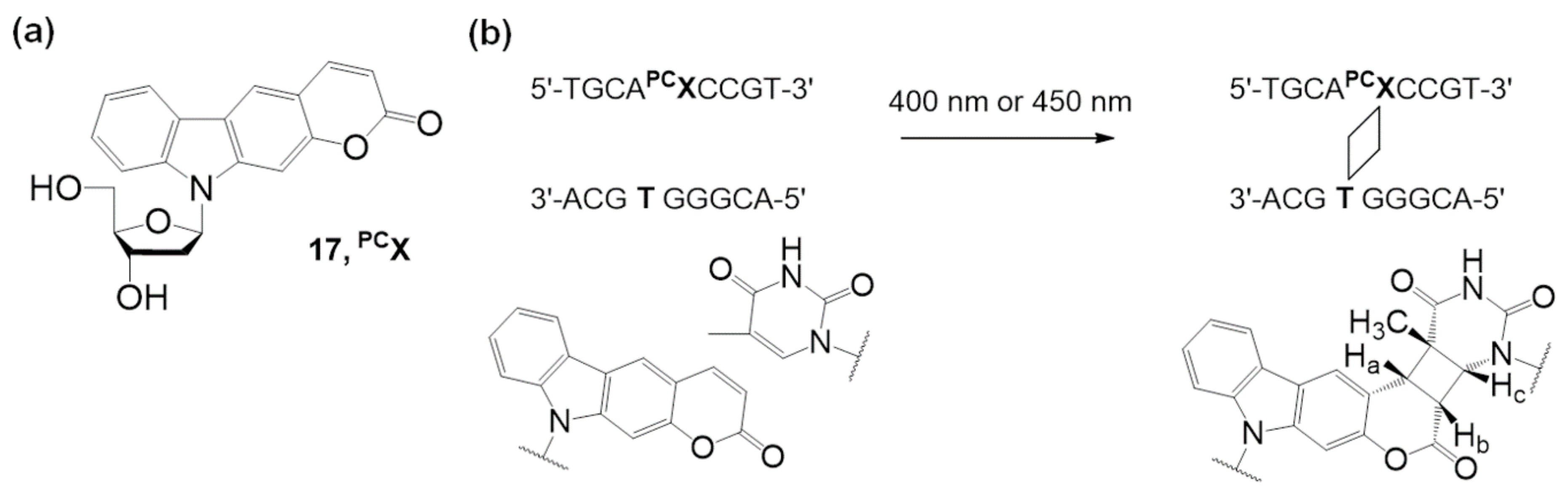 Molecules 26 00556 g009 Molecules 26 00556 g009