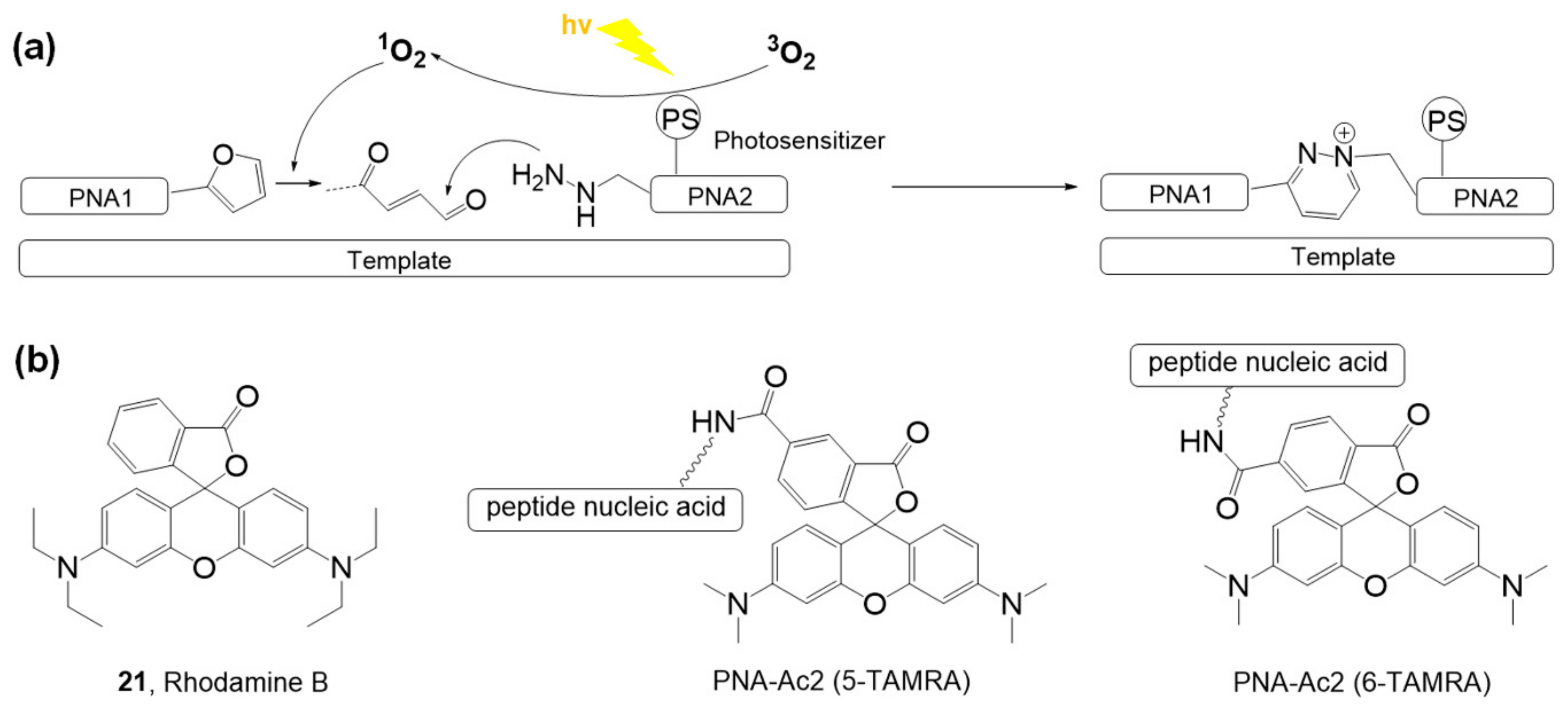 Molecules 26 00556 g012 Molecules 26 00556 g012