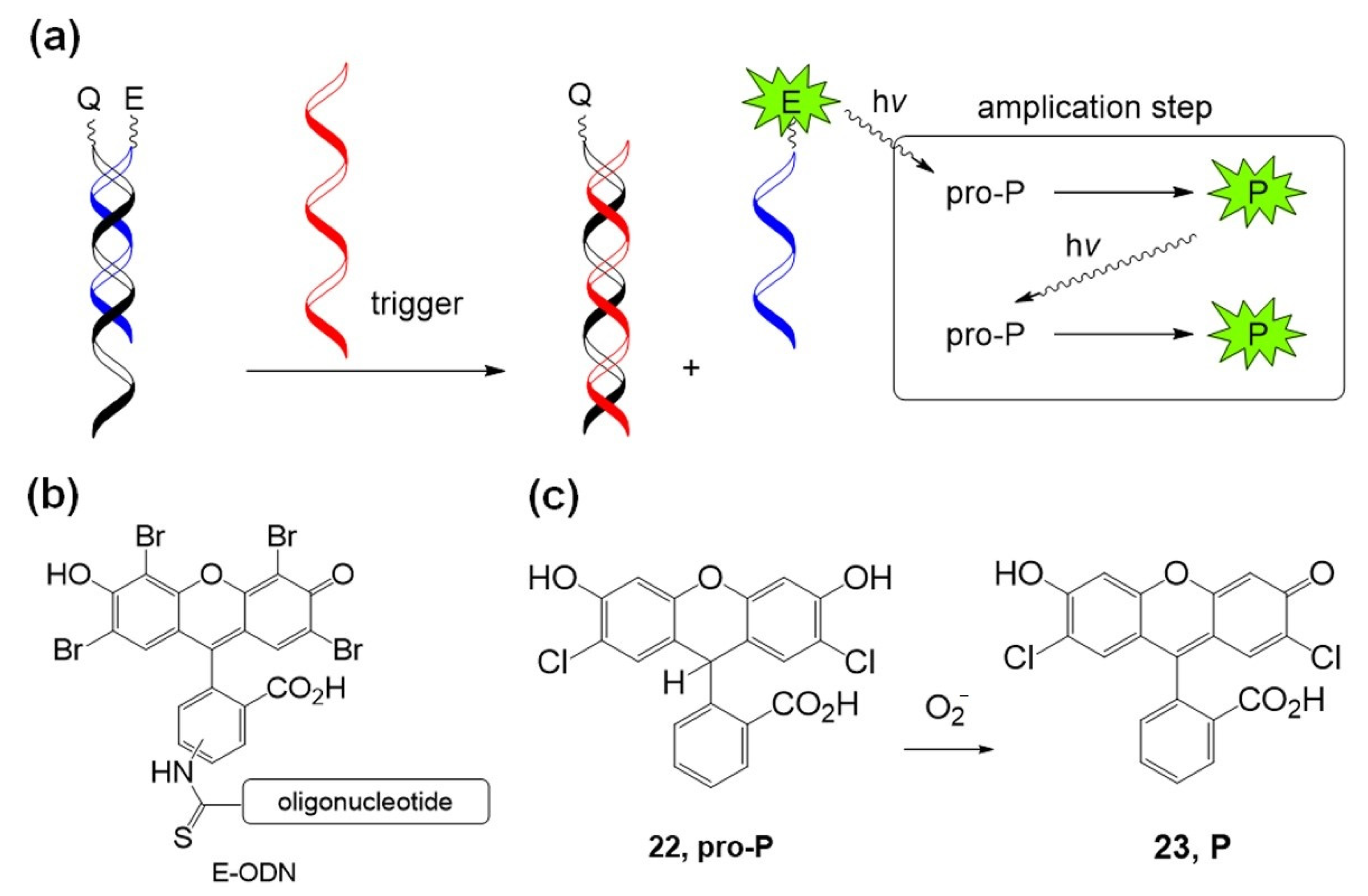 Molecules 26 00556 g013 Molecules 26 00556 g013