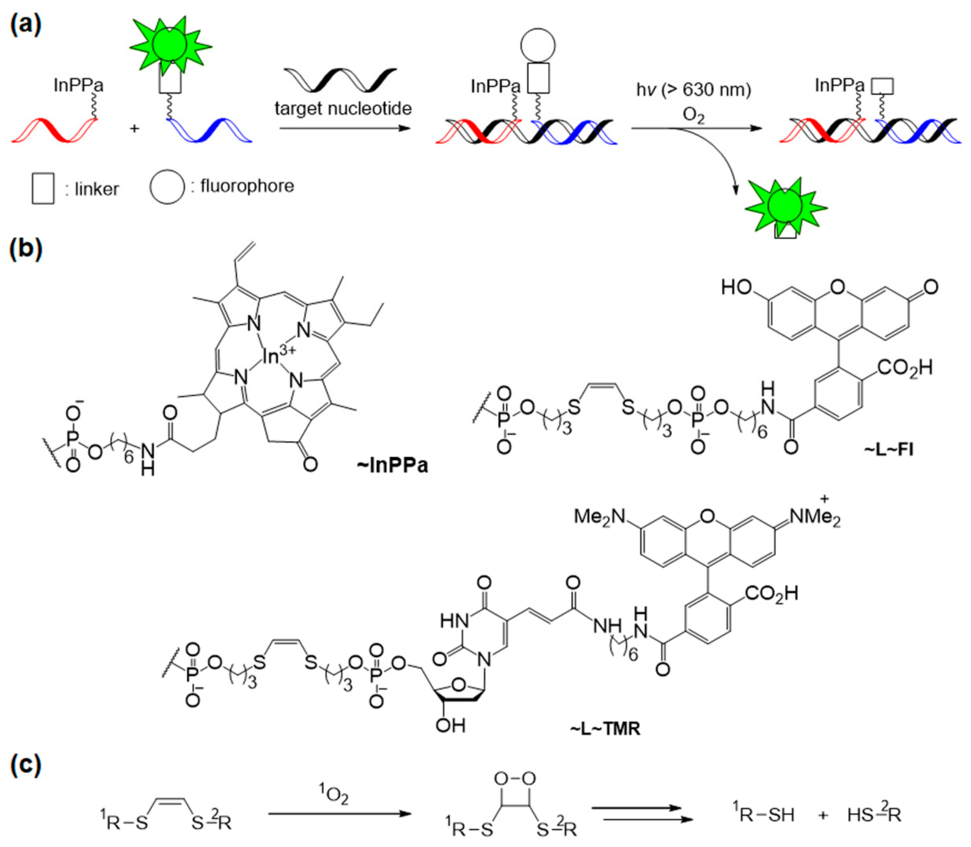 Molecules 26 00556 g014 Molecules 26 00556 g014