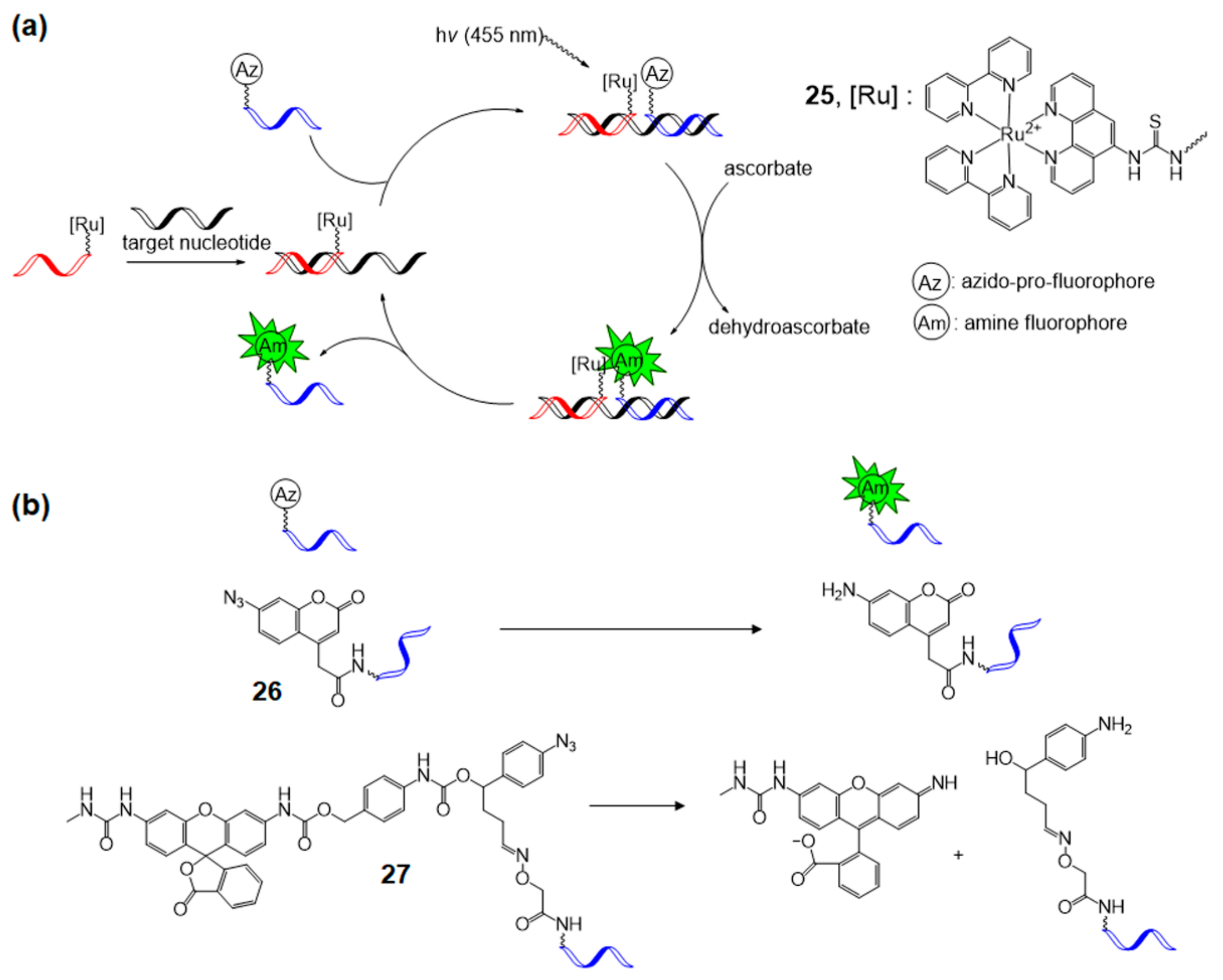 Molecules 26 00556 g016 Molecules 26 00556 g016