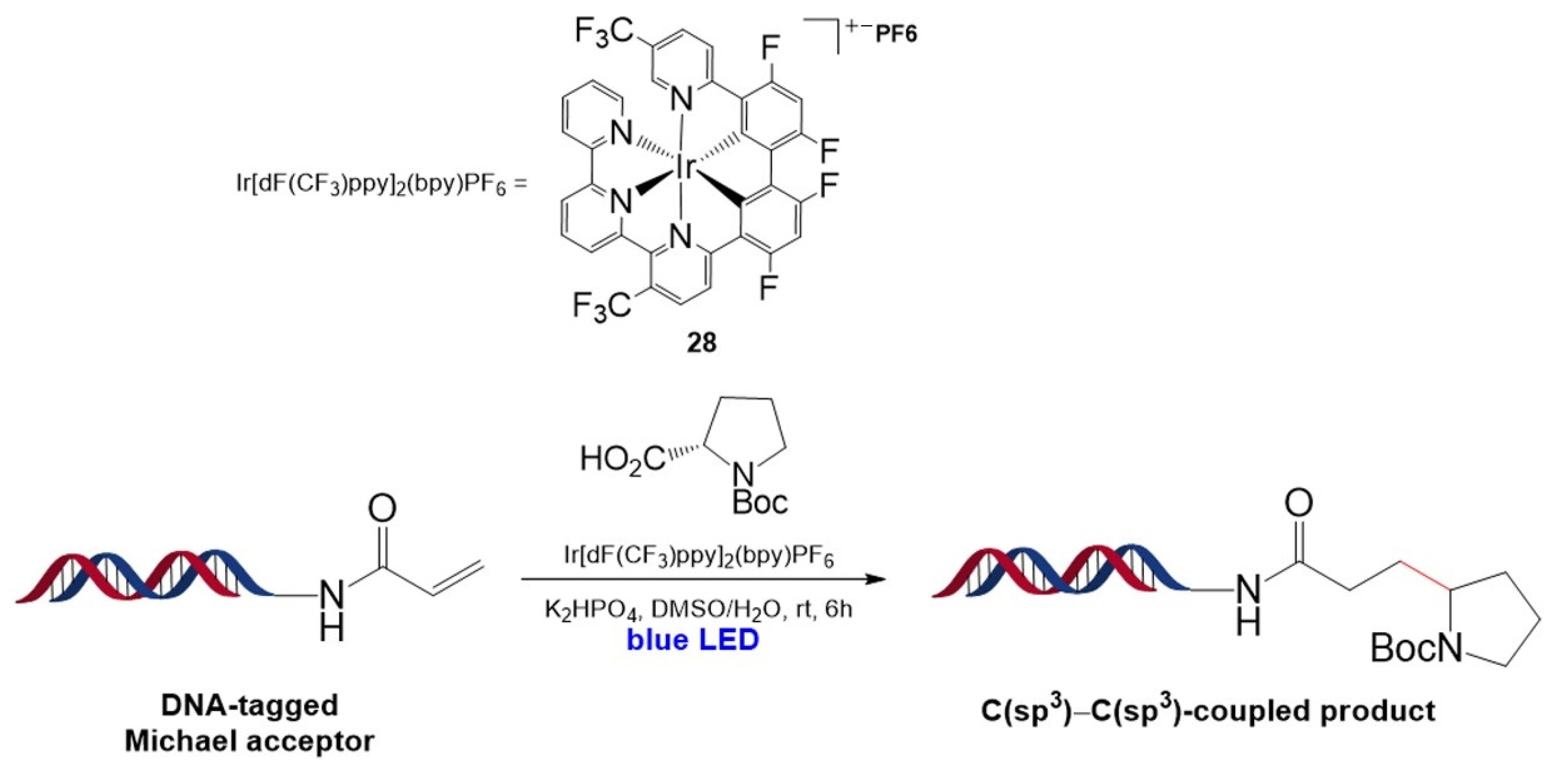 Molecules 26 00556 g018 Molecules 26 00556 g018