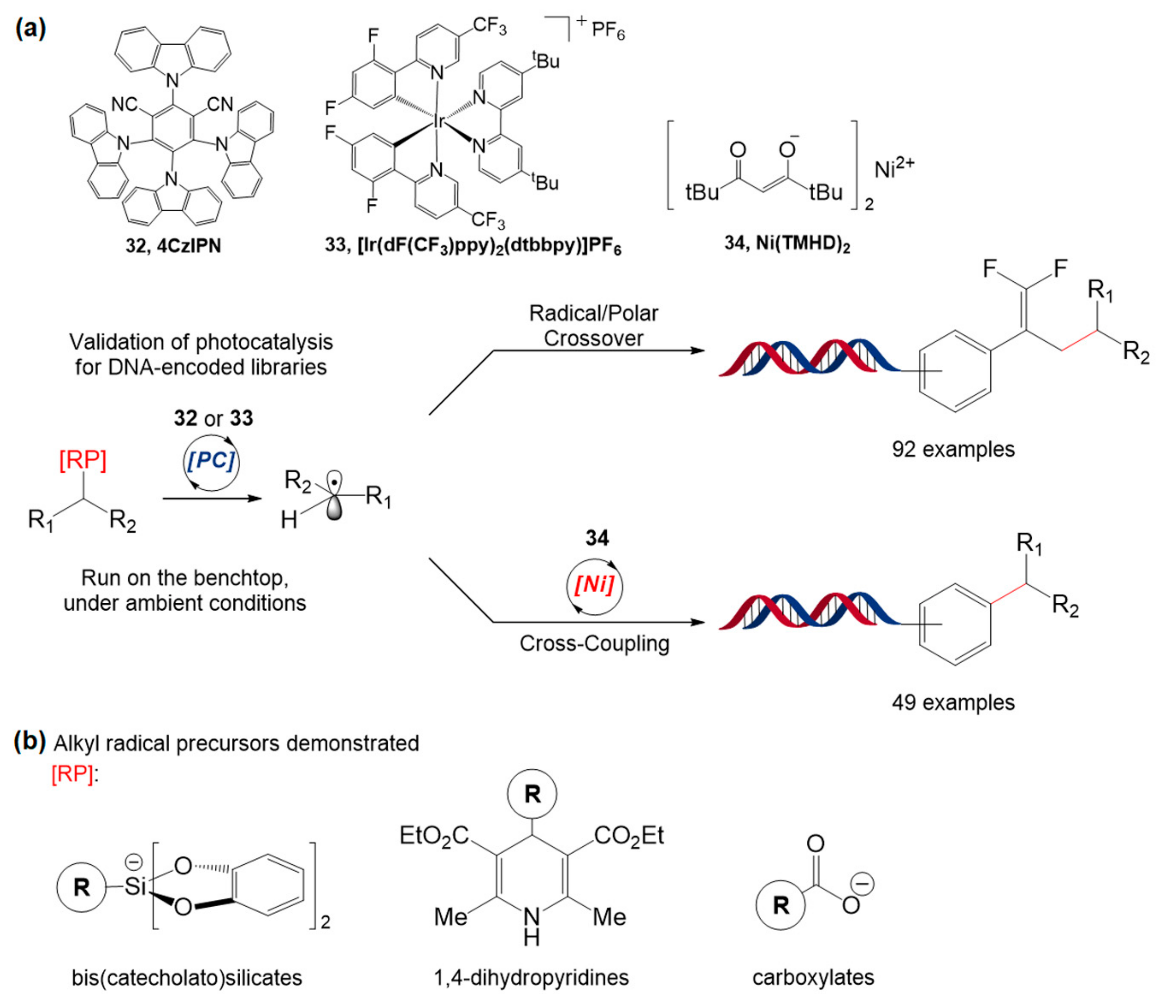Molecules 26 00556 g020 Molecules 26 00556 g020