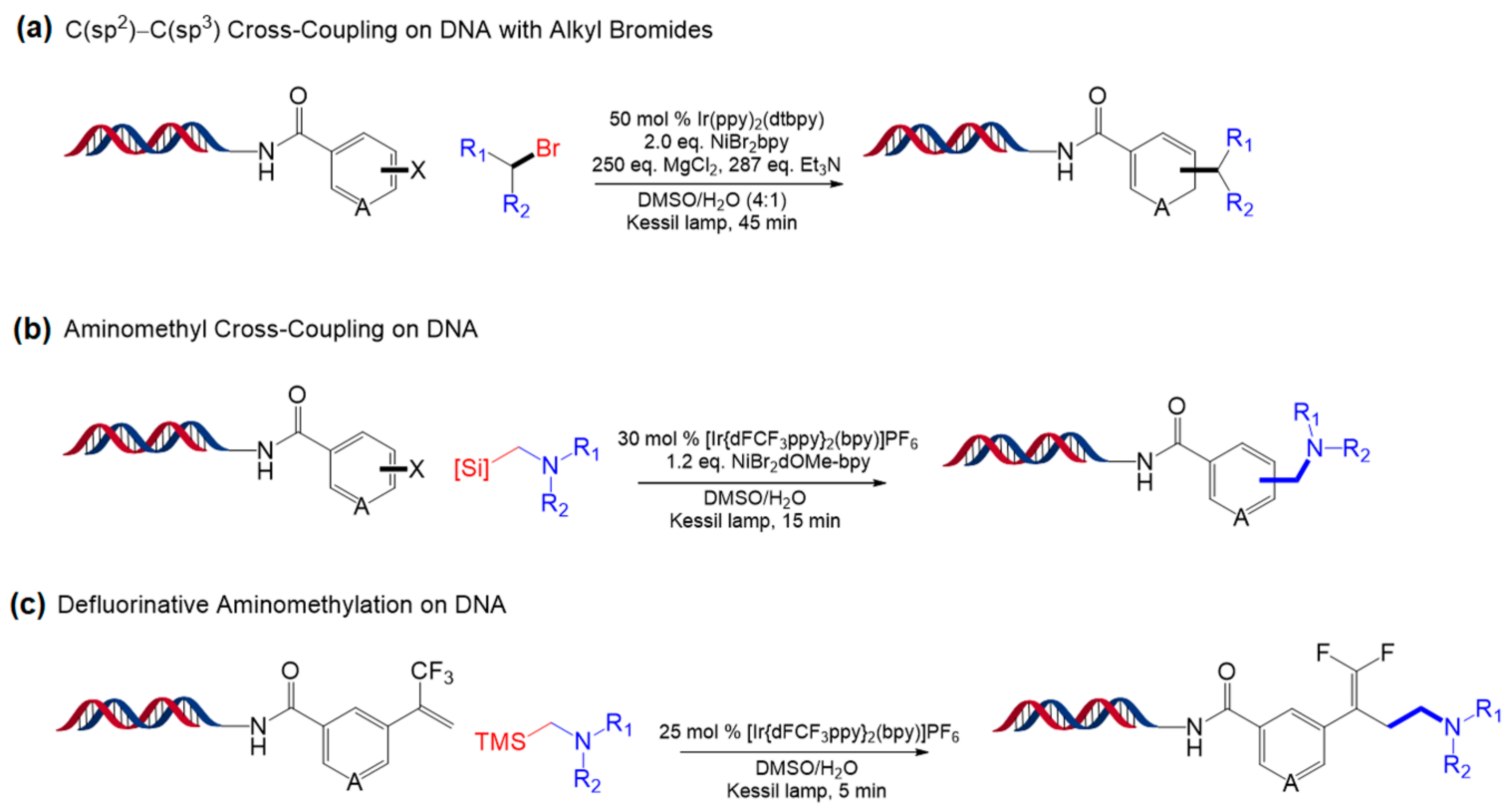 Molecules 26 00556 g021 Molecules 26 00556 g021