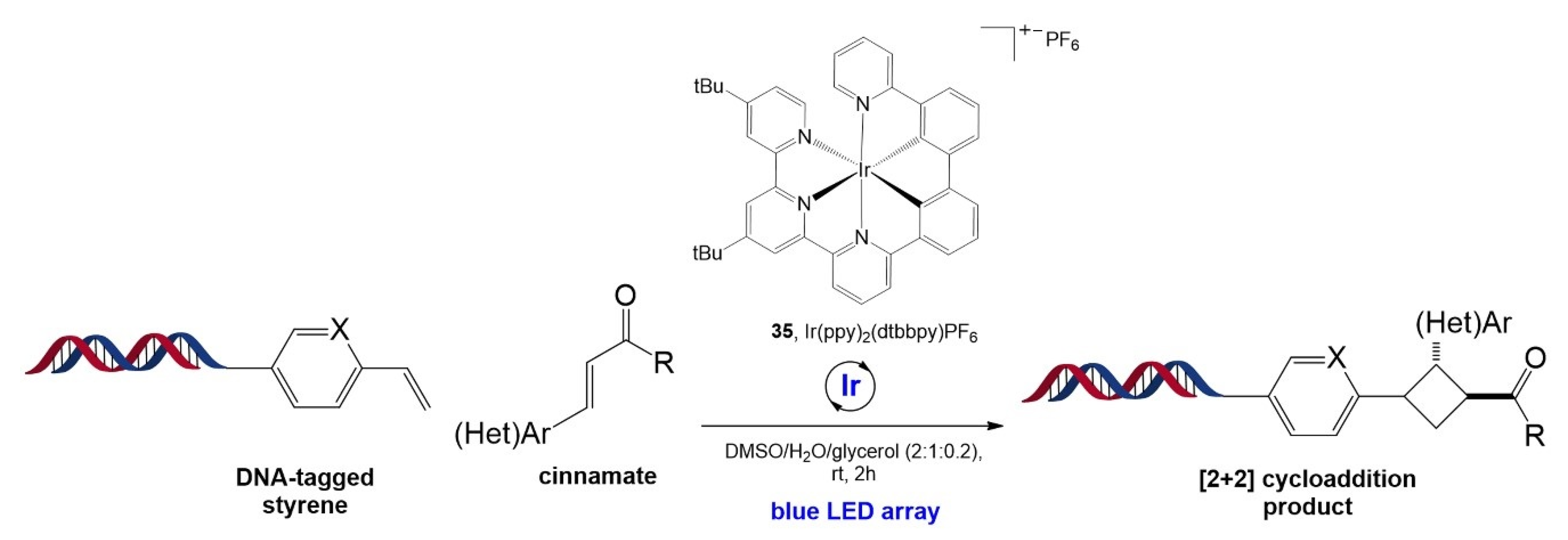 Molecules 26 00556 g022 Molecules 26 00556 g022