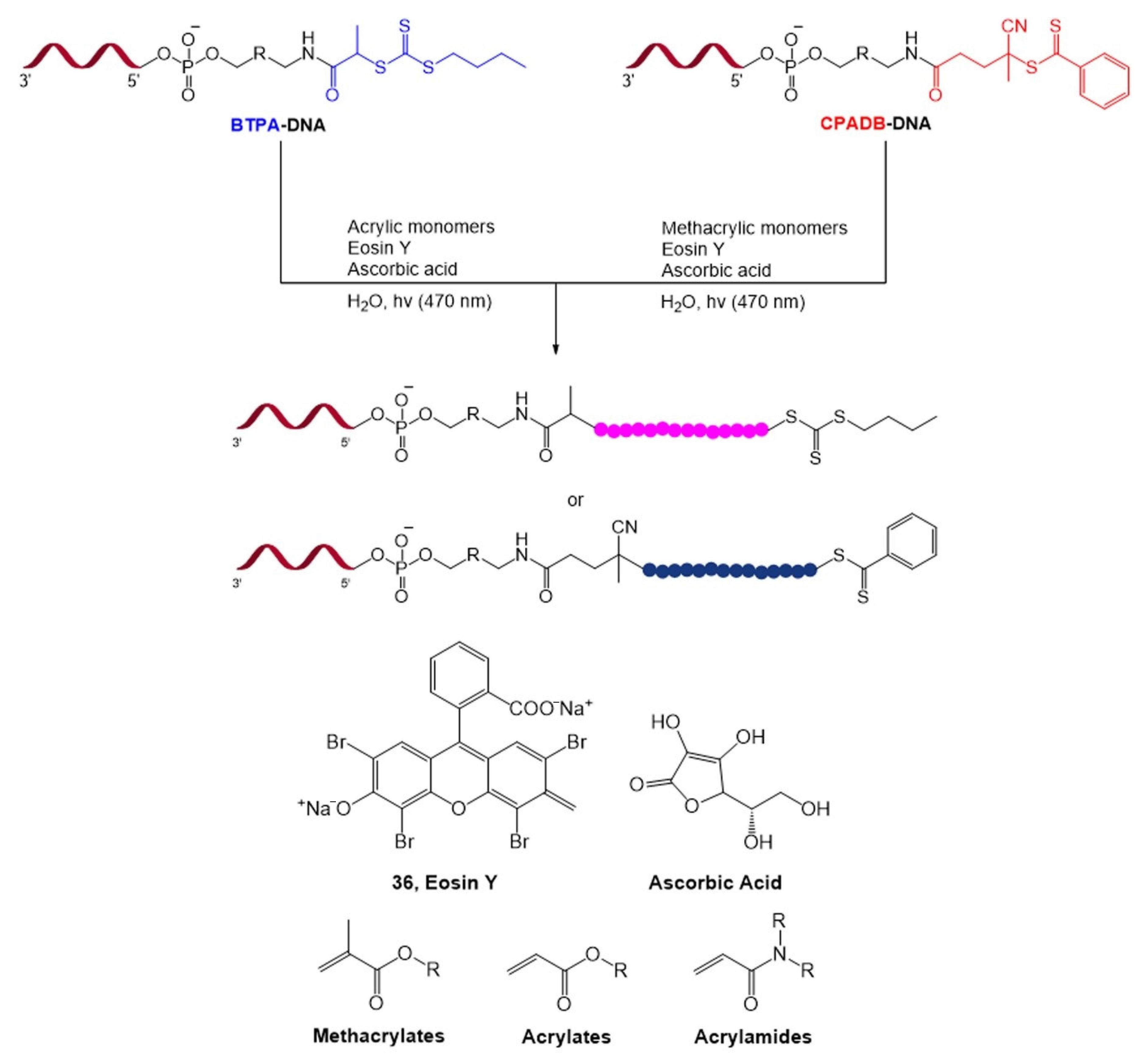 Molecules 26 00556 g024 Molecules 26 00556 g024