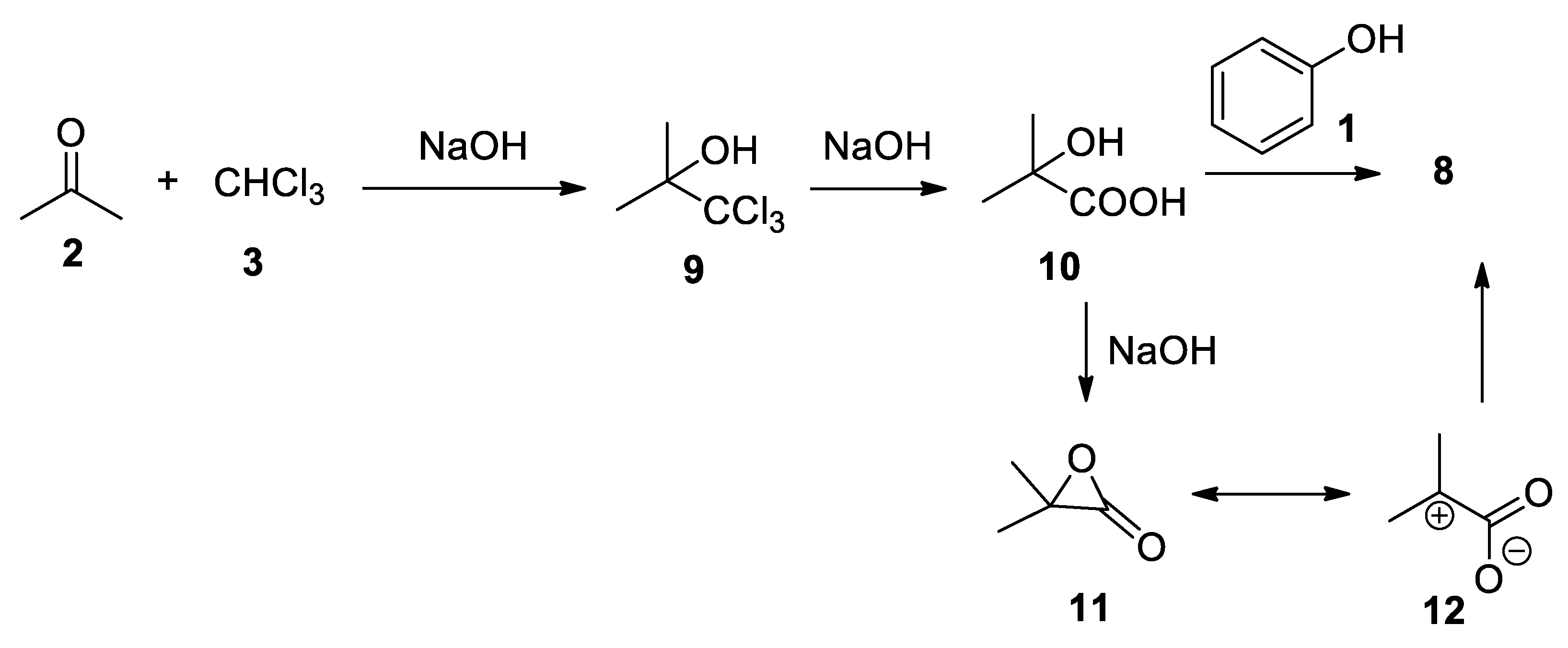 Molecules 26 00558 sch004