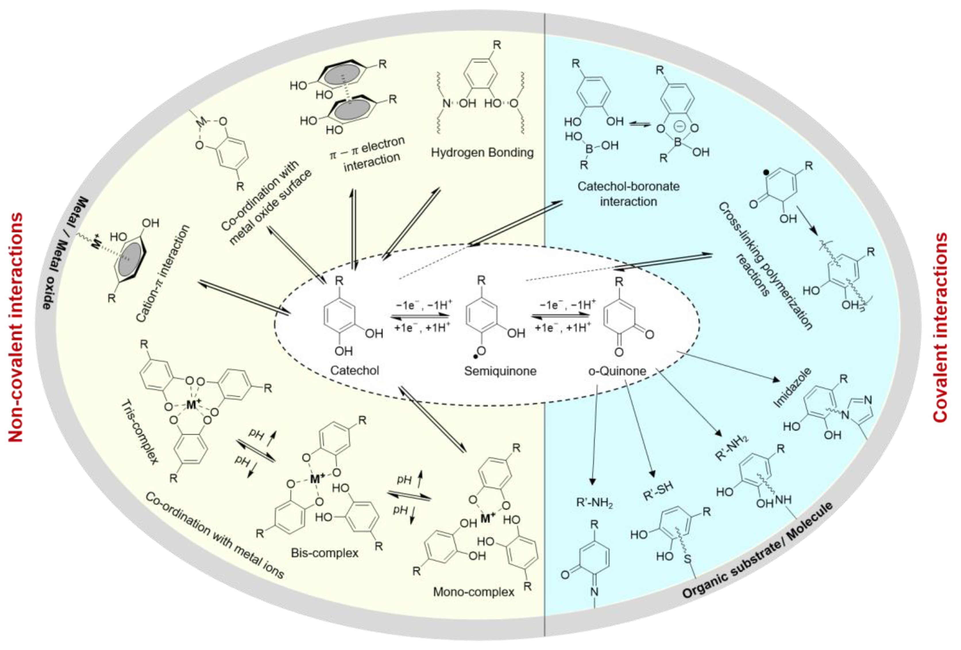 Molecules 26 00559 g001