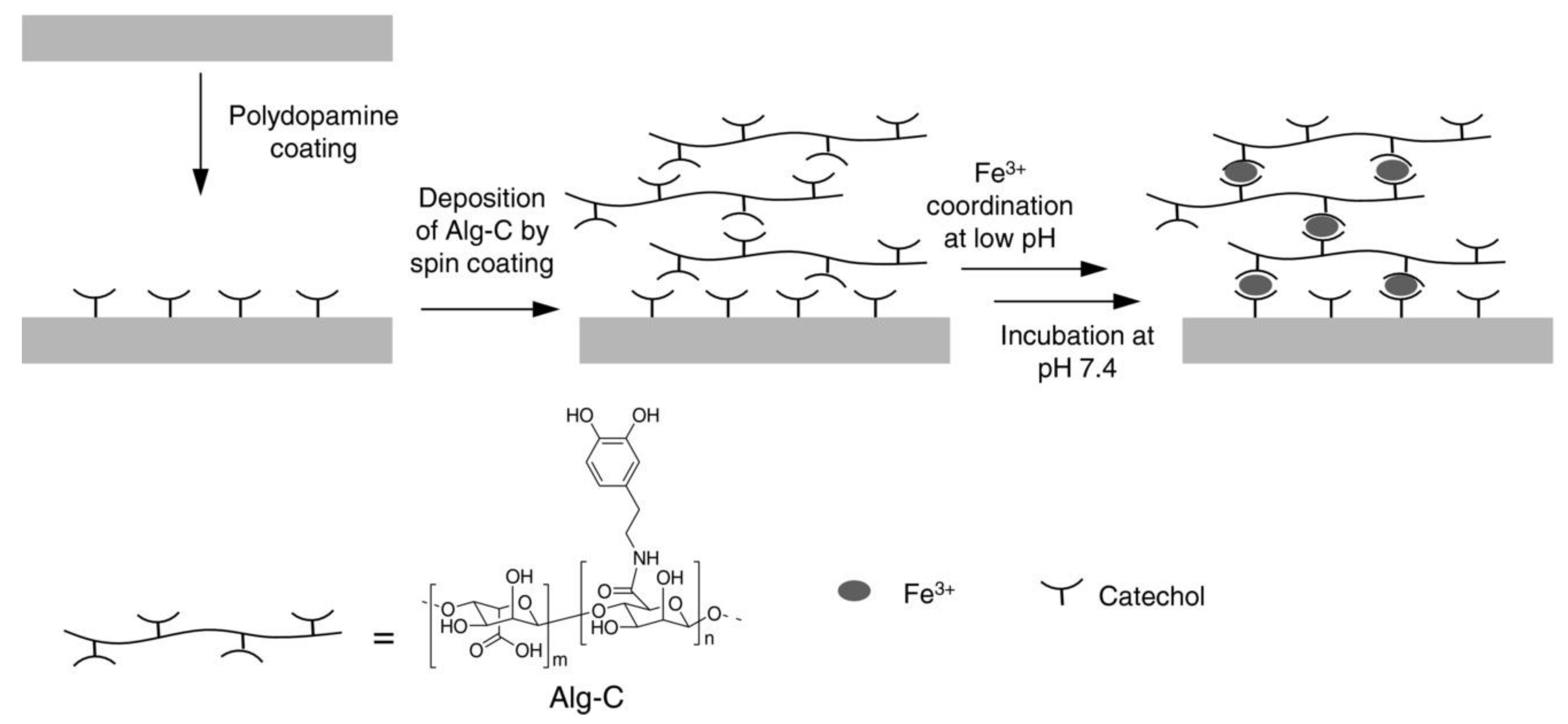 Molecules 26 00559 g005