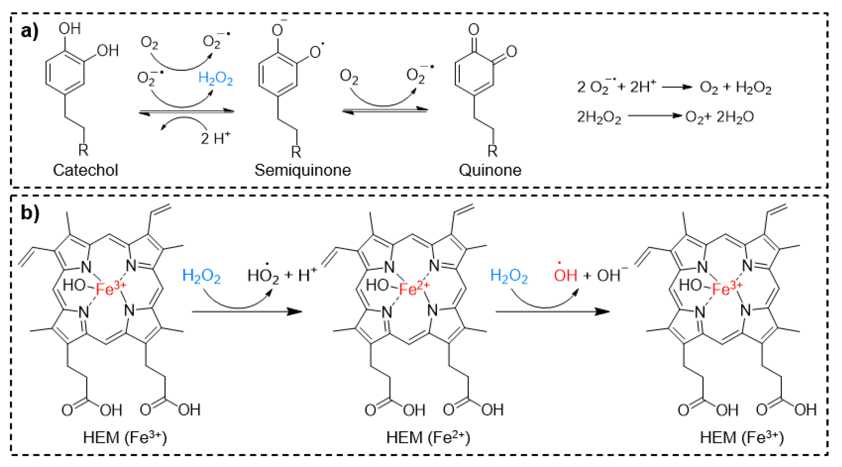 Molecules 26 00559 g006