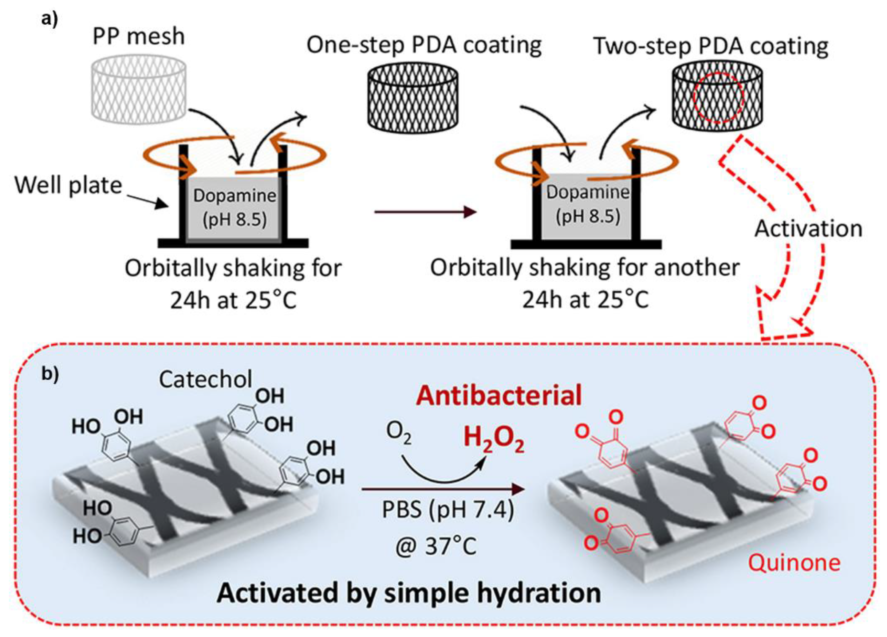 Molecules 26 00559 g008