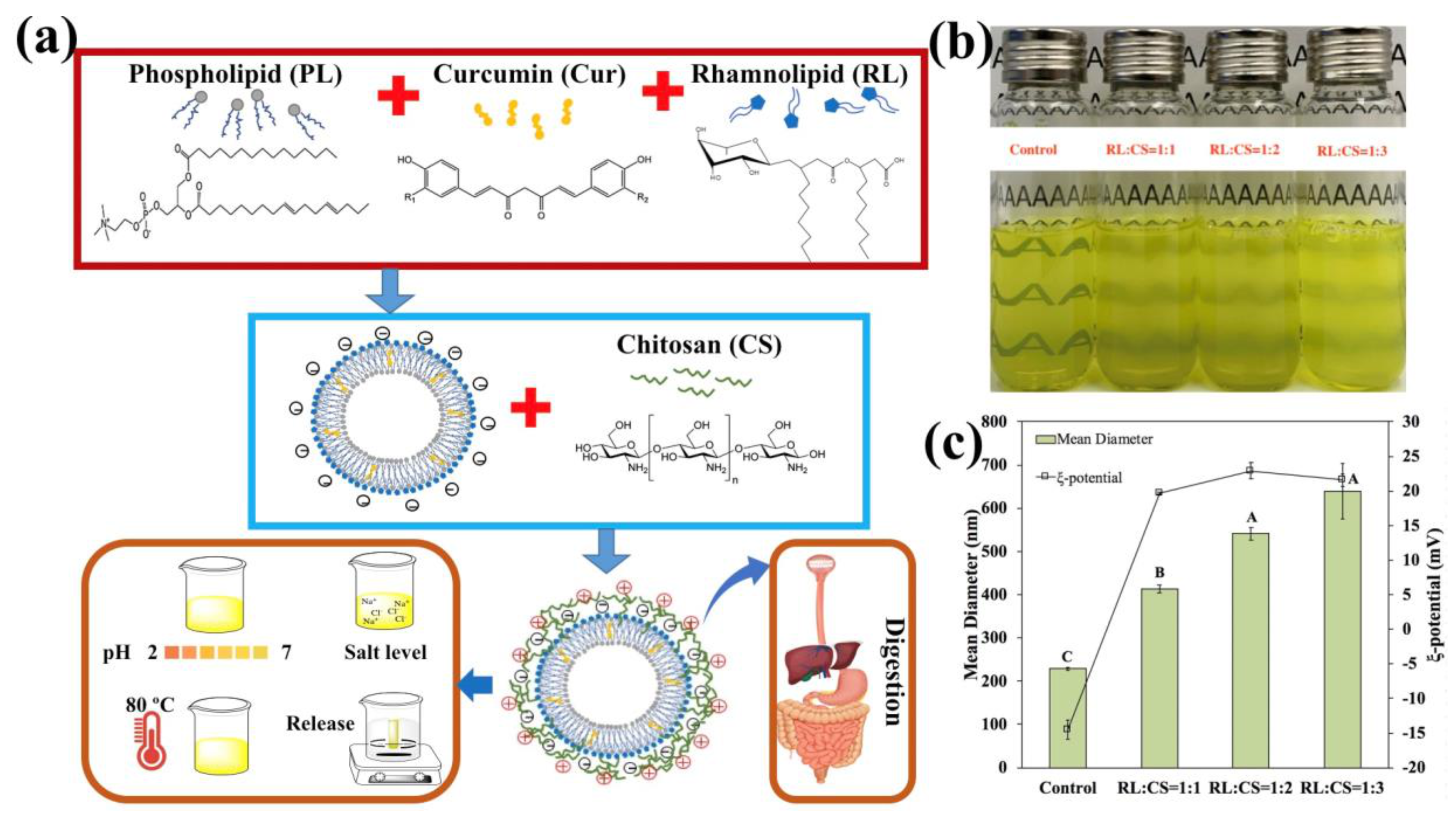 Molecules 26 00560 g001