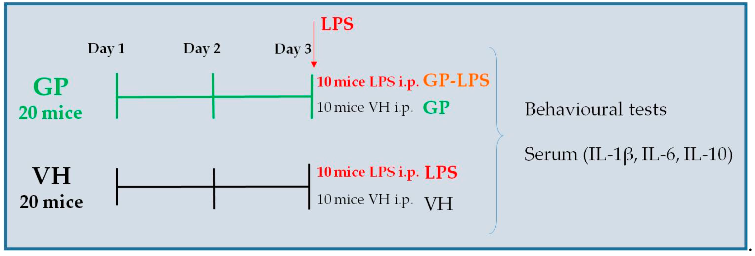 Molecules 26 00570 g002