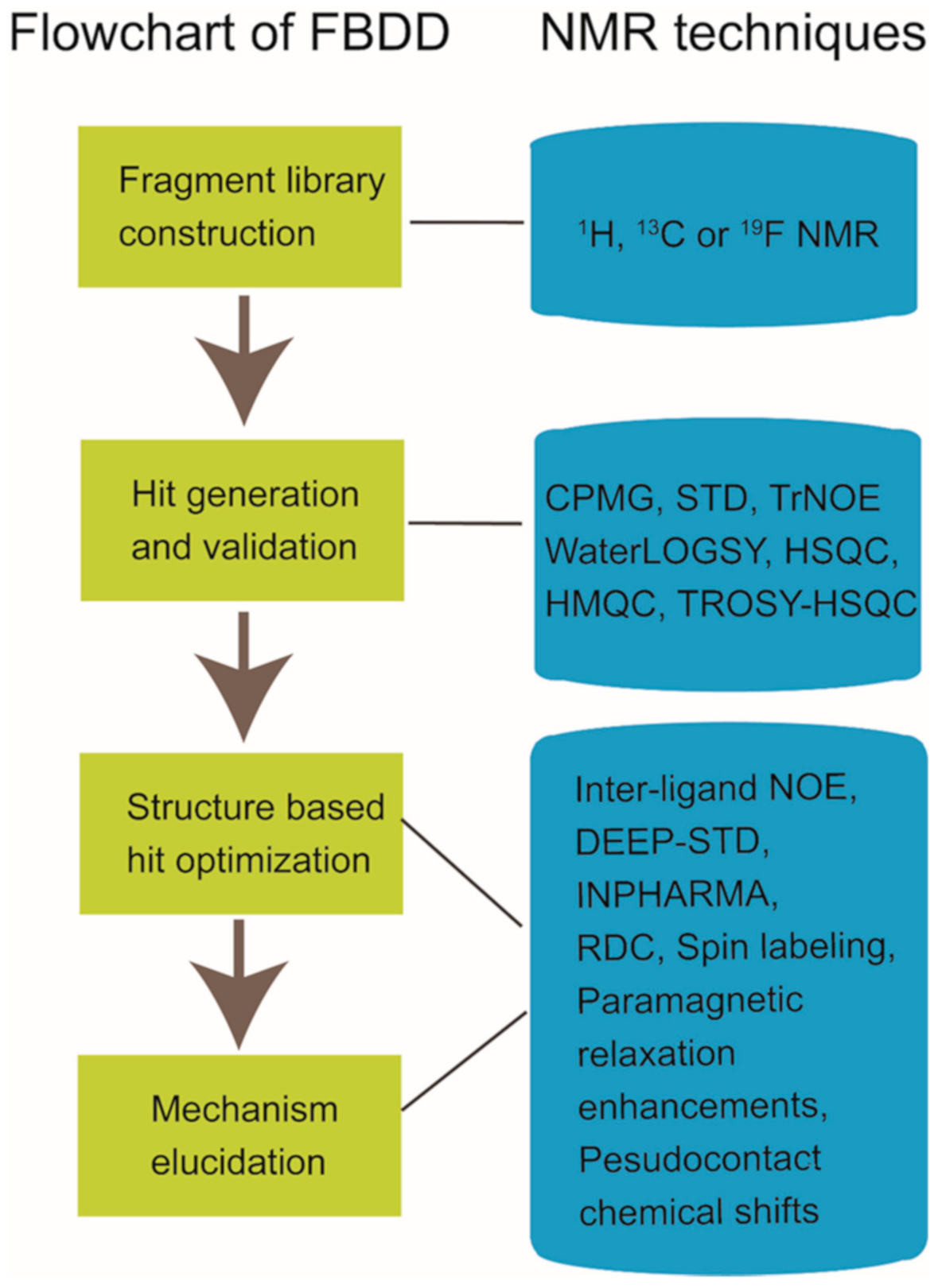 Molecules 26 00576 g001