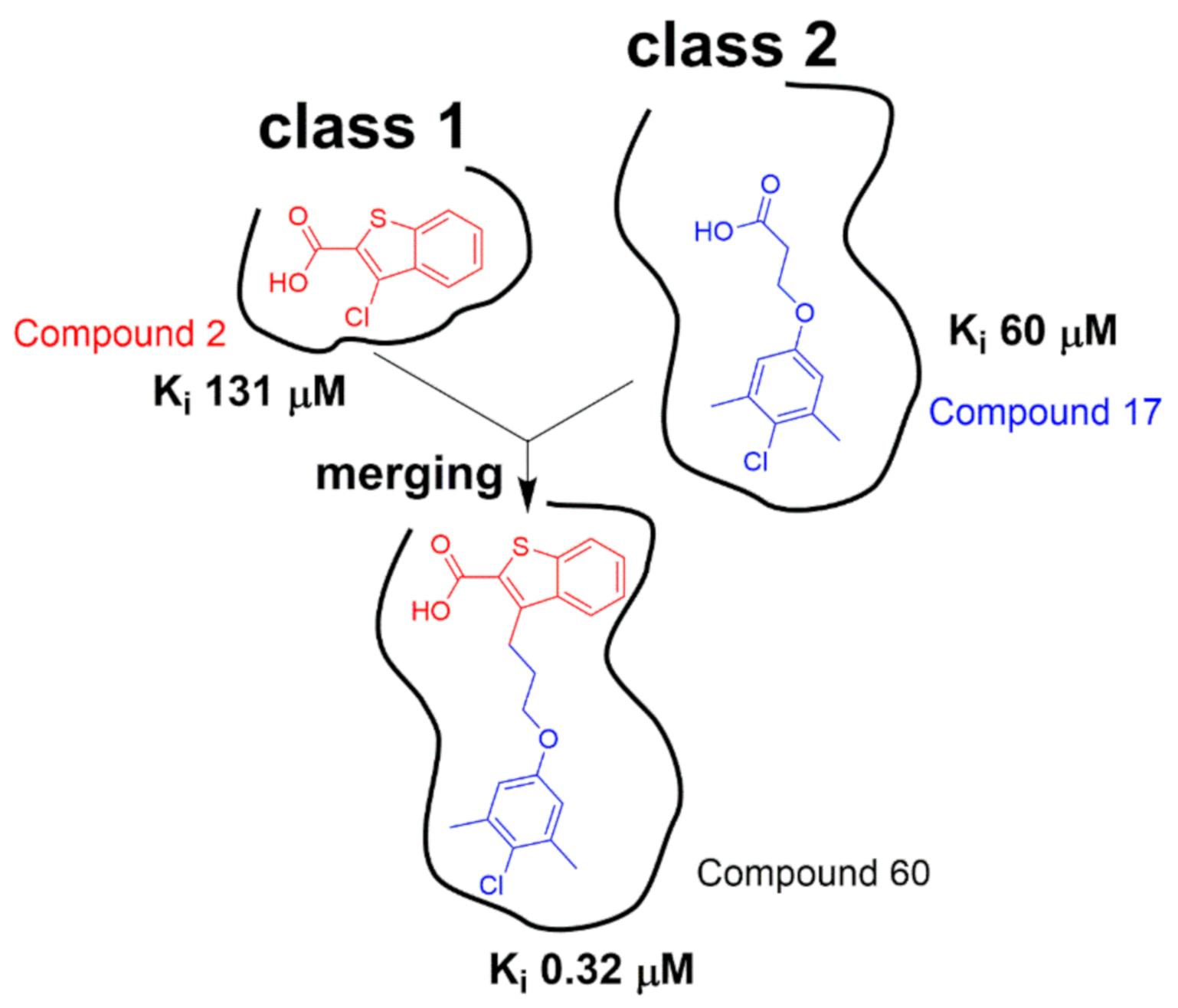 Molecules 26 00576 g005