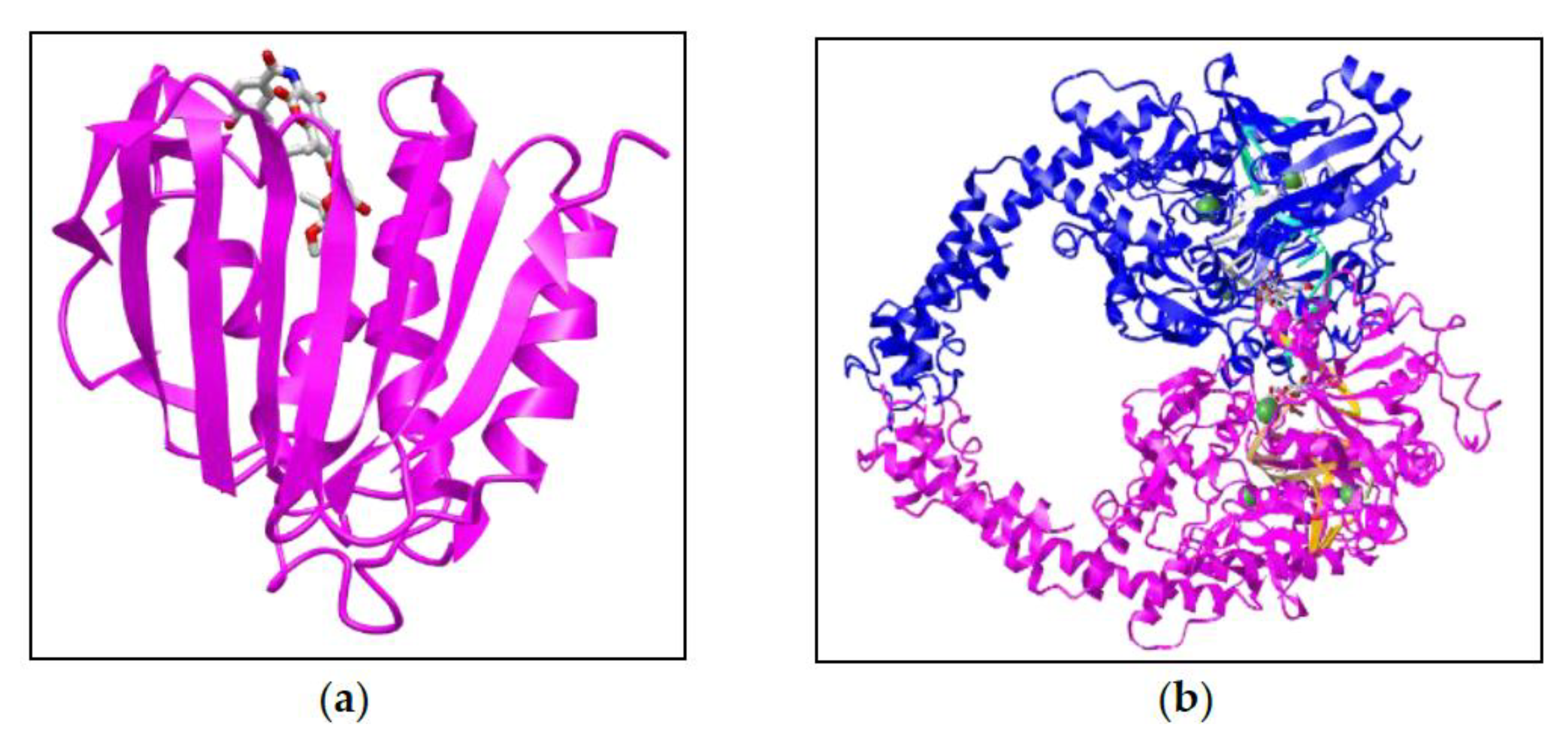 Molecules 26 00577 g002