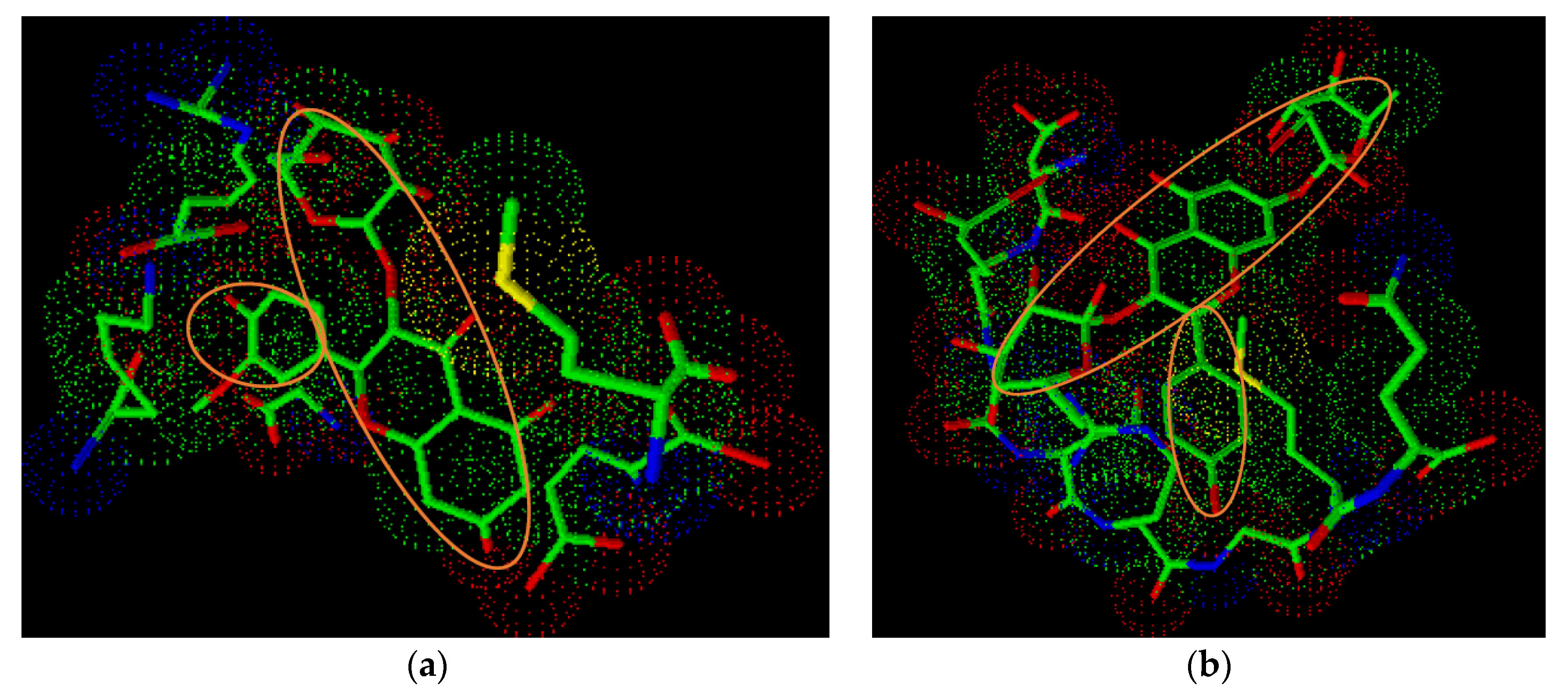 Molecules 26 00577 g003