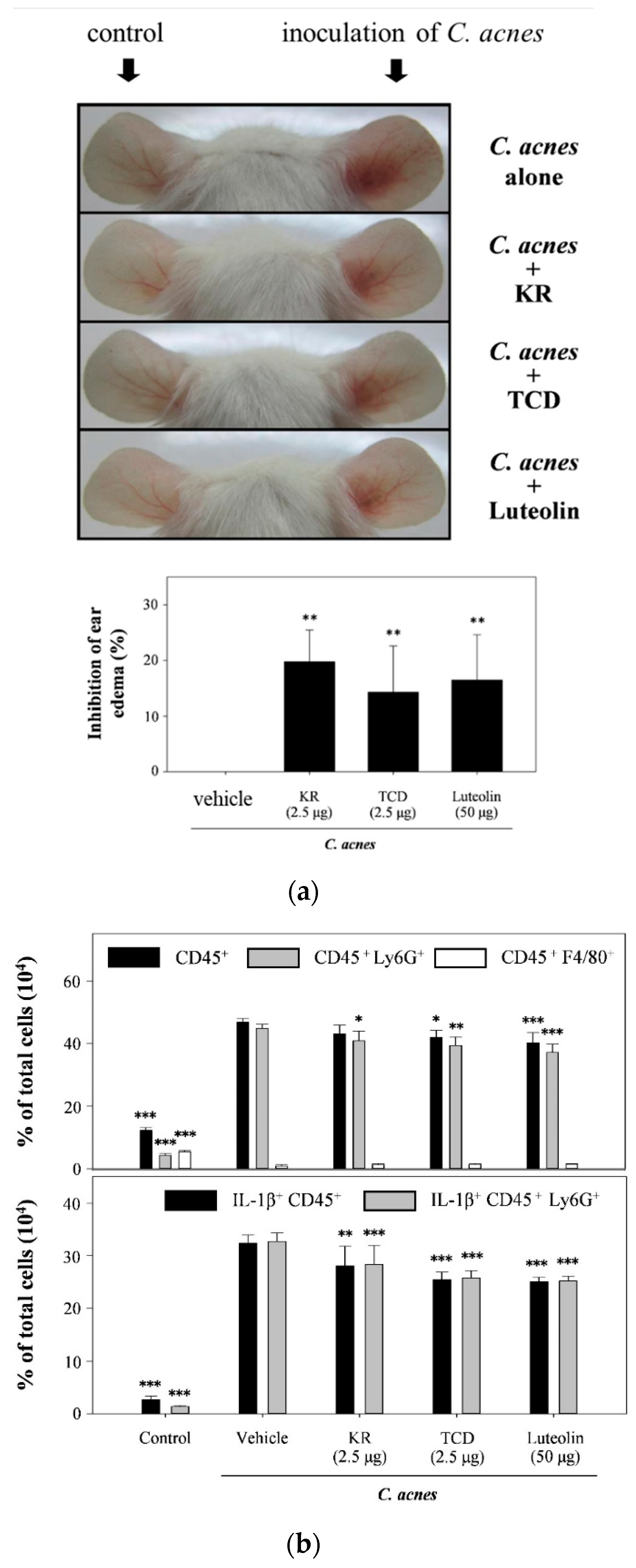 Molecules 26 00579 g004a