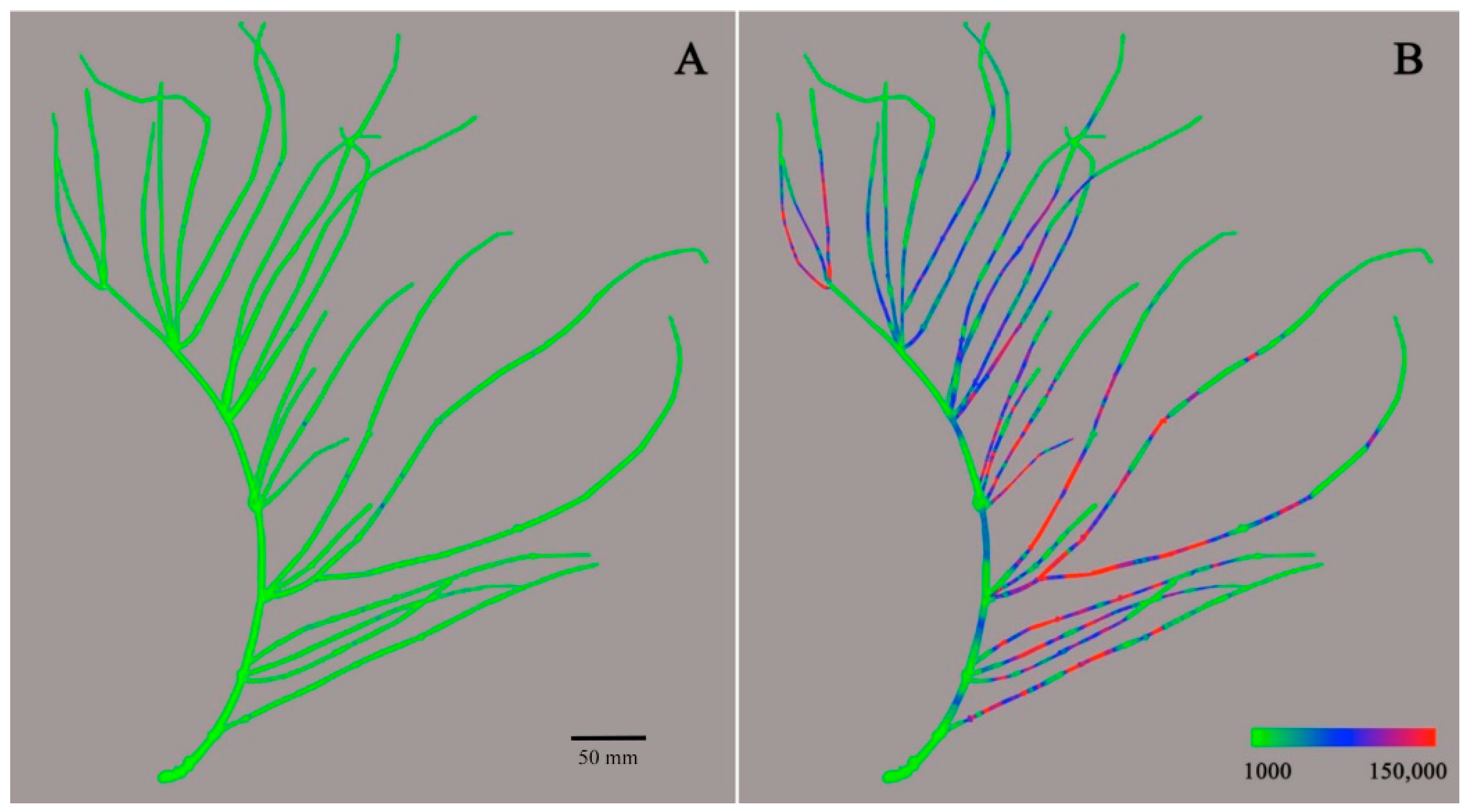 Molecules 26 00580 g003