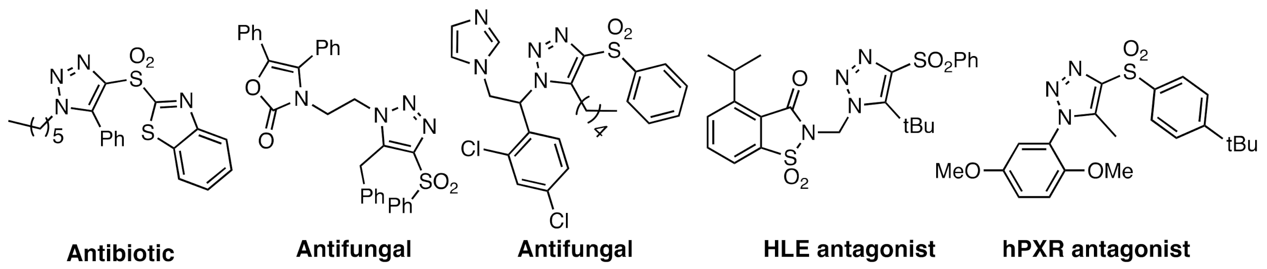 Molecules 26 00581 g001 Molecules 26 00581 g001