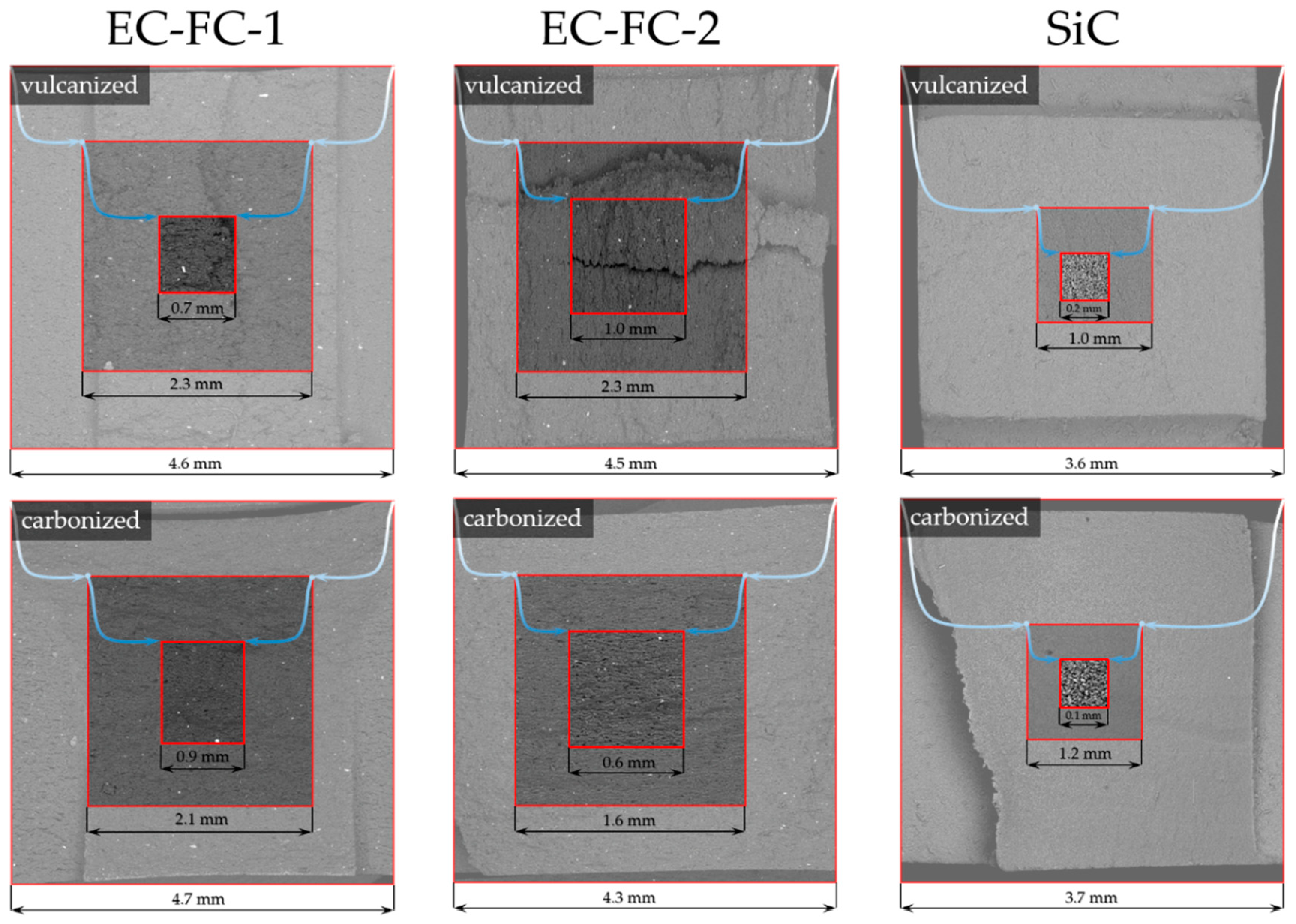 Molecules 26 00587 g004